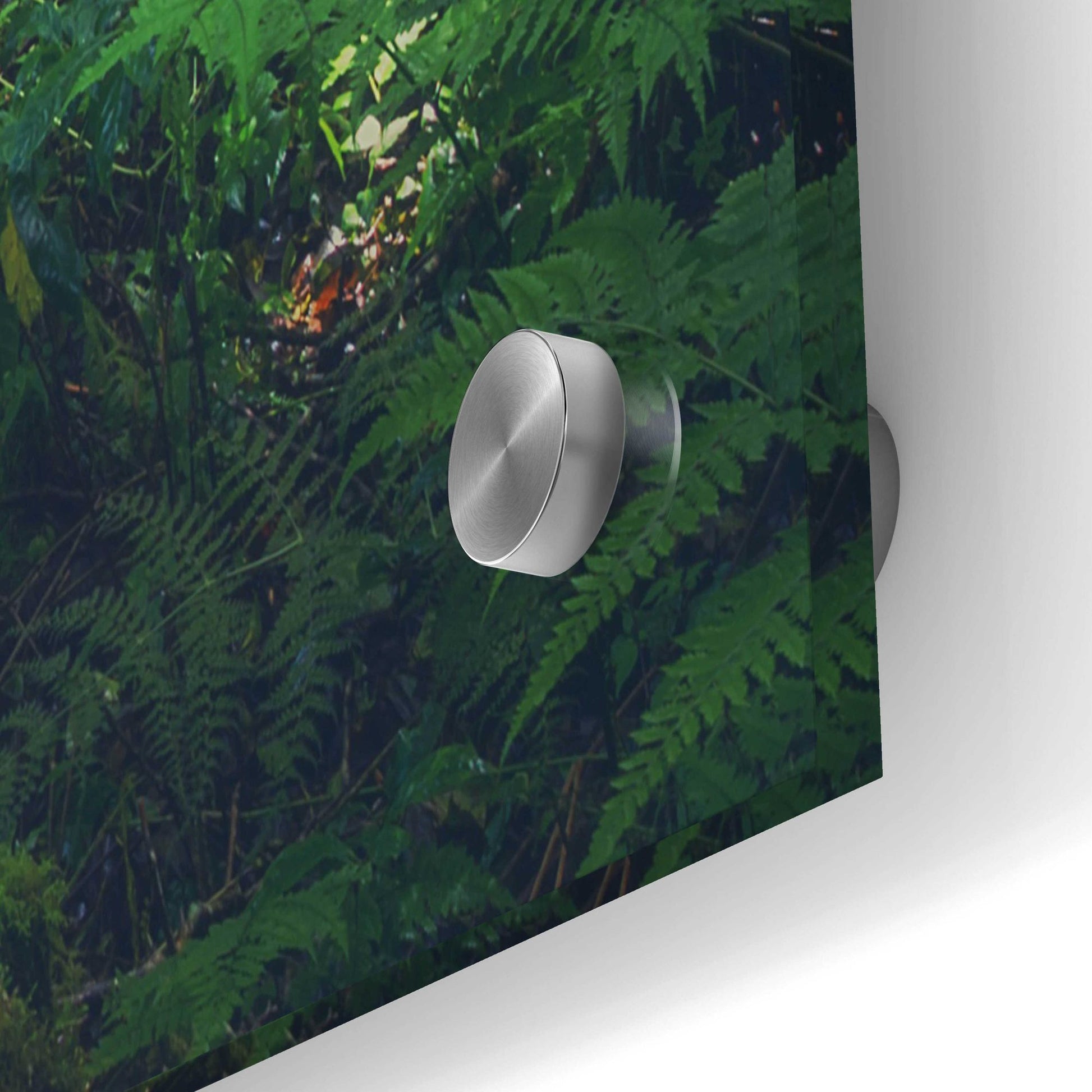 Epic Art 'Jungle' by Epic Portfolio, Acrylic Glass Wall Art,36x24