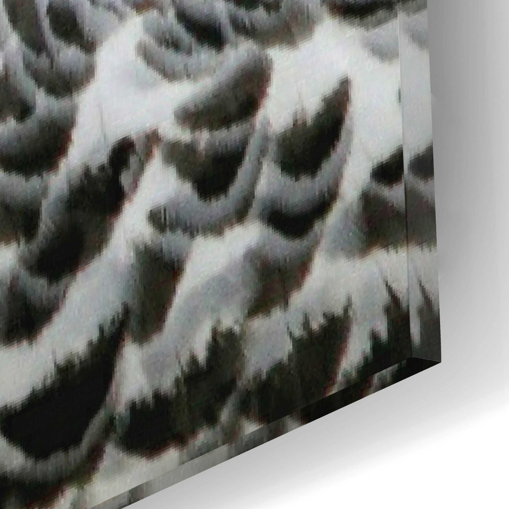 Epic Art 'Snowy Owl' by Epic Portfolio, Acrylic Glass Wall Art,12x16