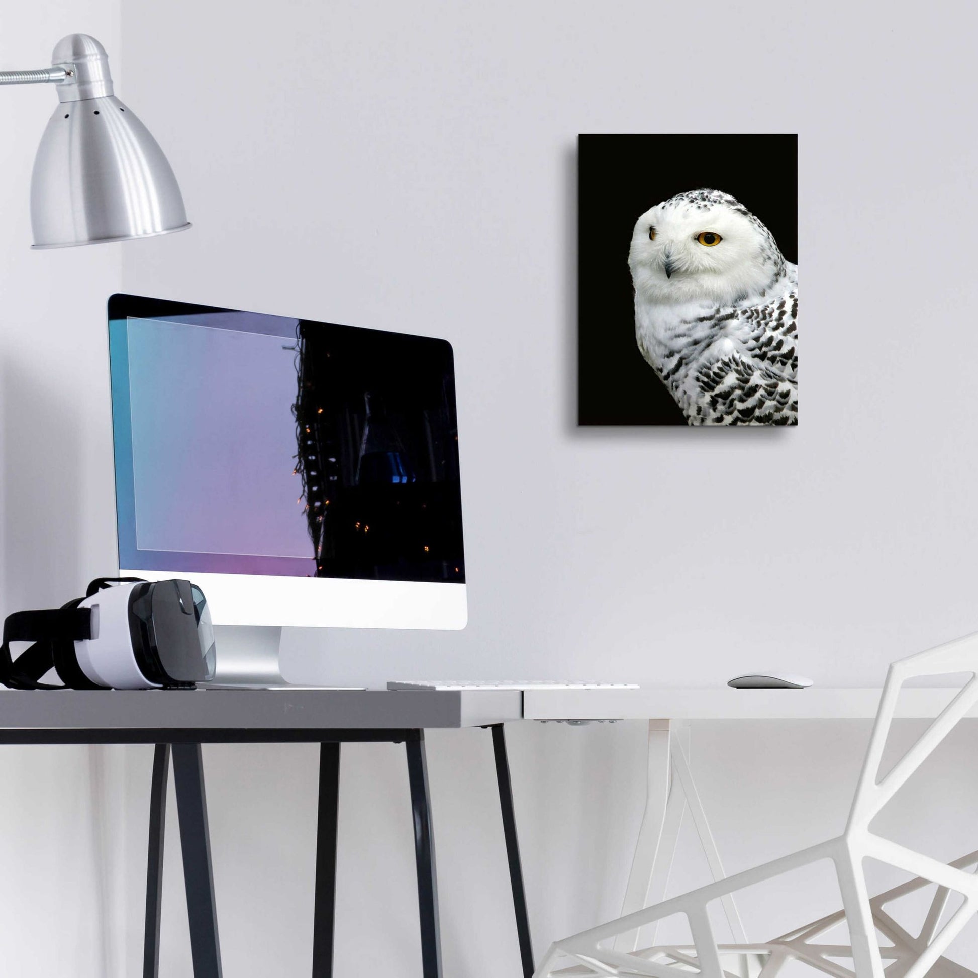 Epic Art 'Snowy Owl' by Epic Portfolio, Acrylic Glass Wall Art,12x16