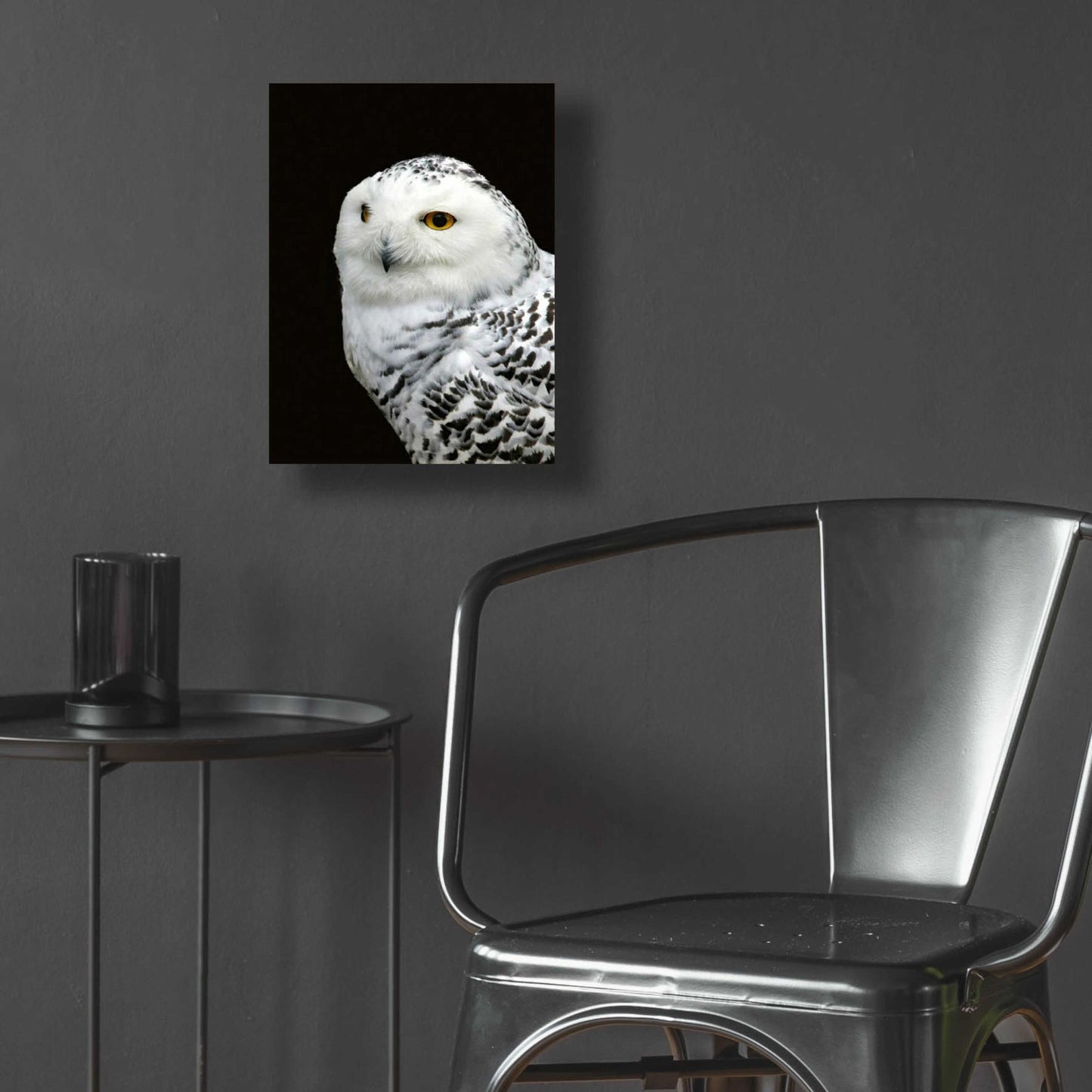 Epic Art 'Snowy Owl' by Epic Portfolio, Acrylic Glass Wall Art,12x16