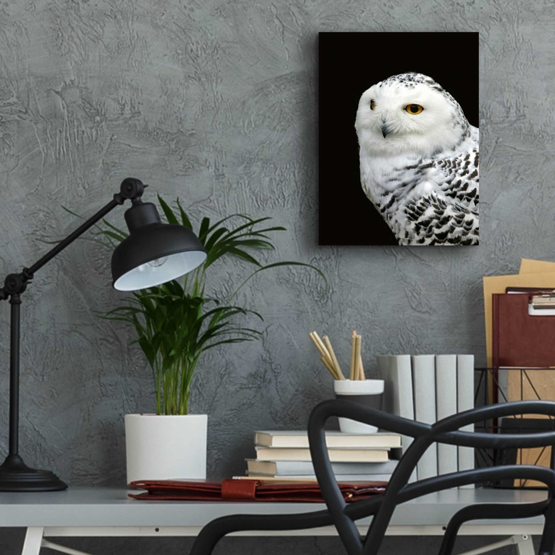 Epic Art 'Snowy Owl' by Epic Portfolio, Acrylic Glass Wall Art,12x16