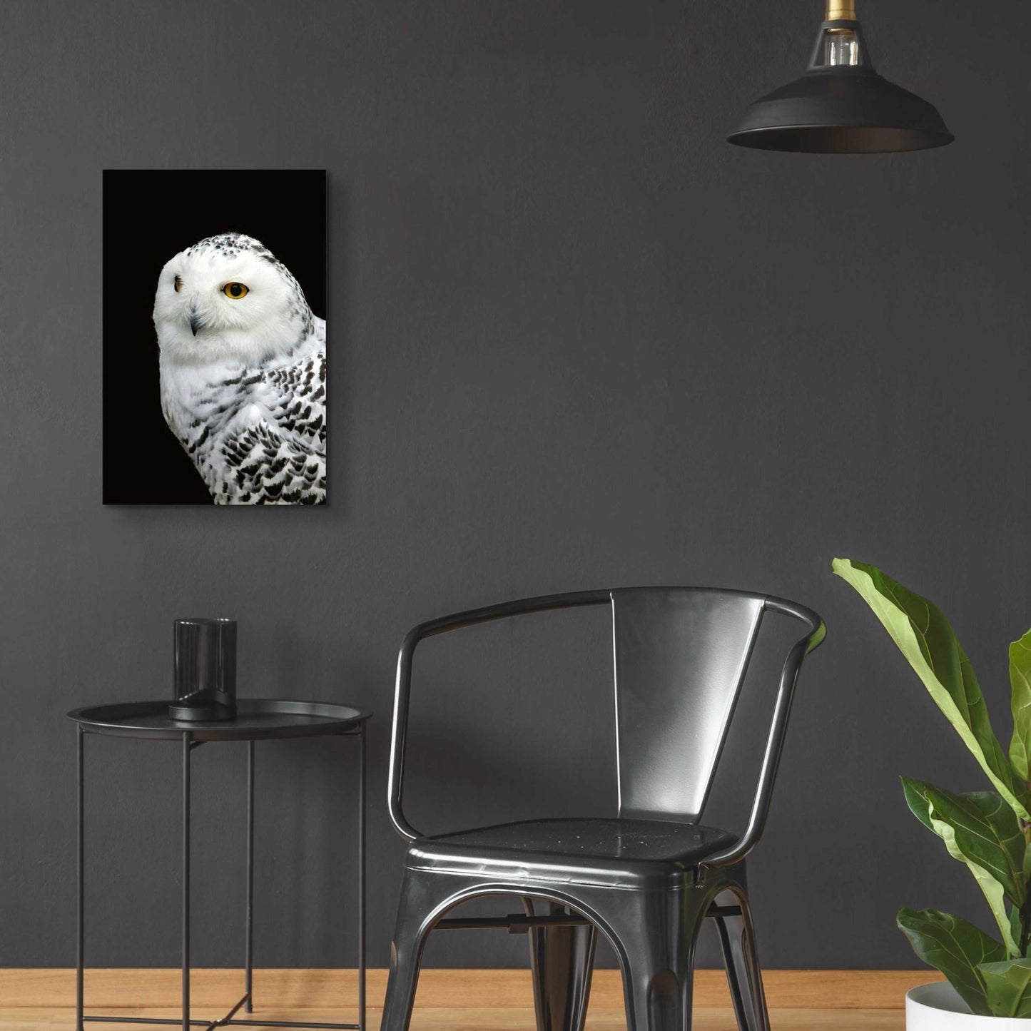 Epic Art 'Snowy Owl' by Epic Portfolio, Acrylic Glass Wall Art,16x24