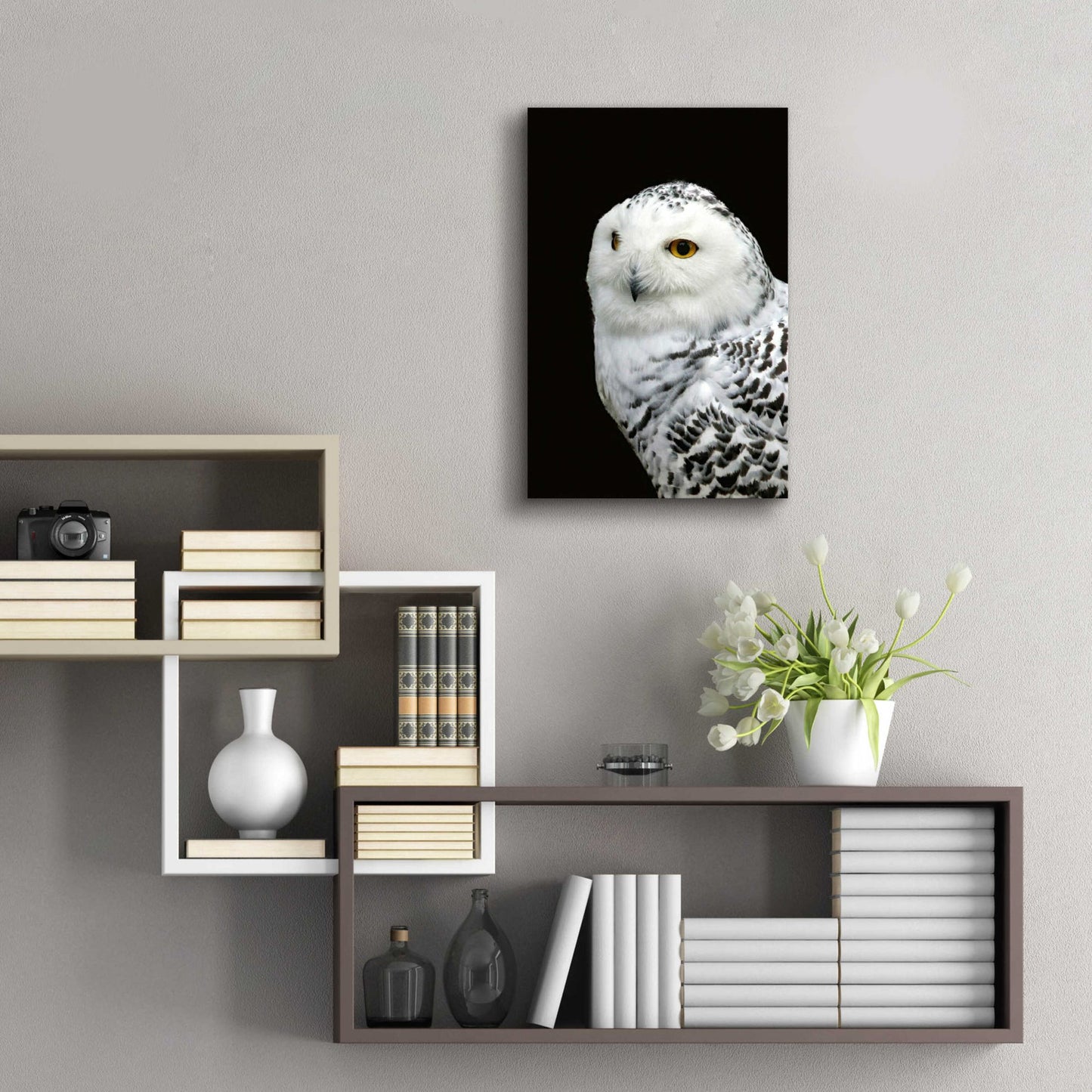 Epic Art 'Snowy Owl' by Epic Portfolio, Acrylic Glass Wall Art,16x24