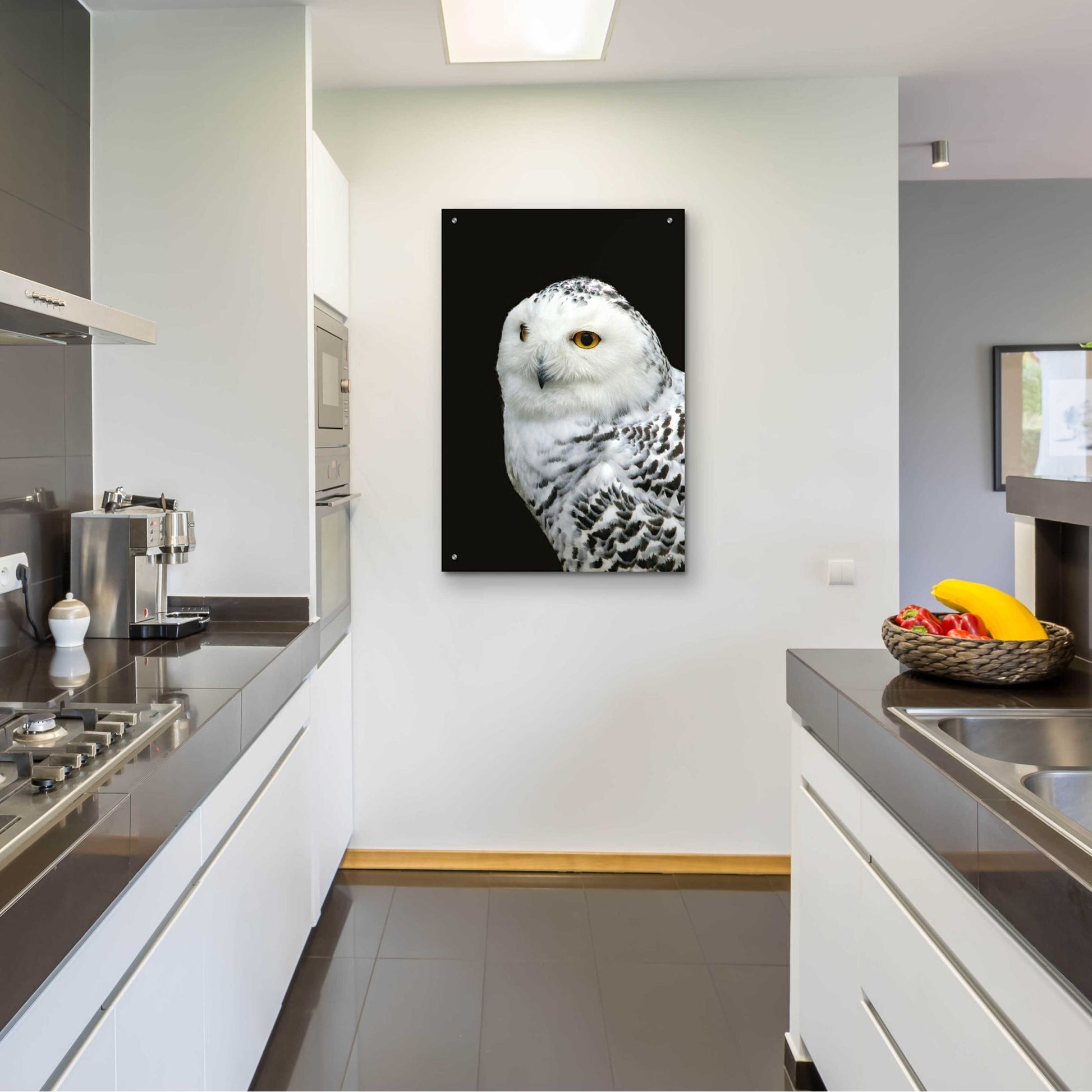 Epic Art 'Snowy Owl' by Epic Portfolio, Acrylic Glass Wall Art,24x36