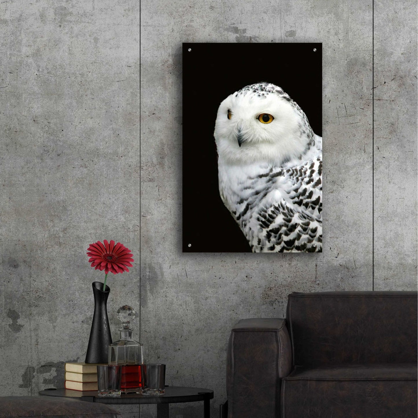 Epic Art 'Snowy Owl' by Epic Portfolio, Acrylic Glass Wall Art,24x36