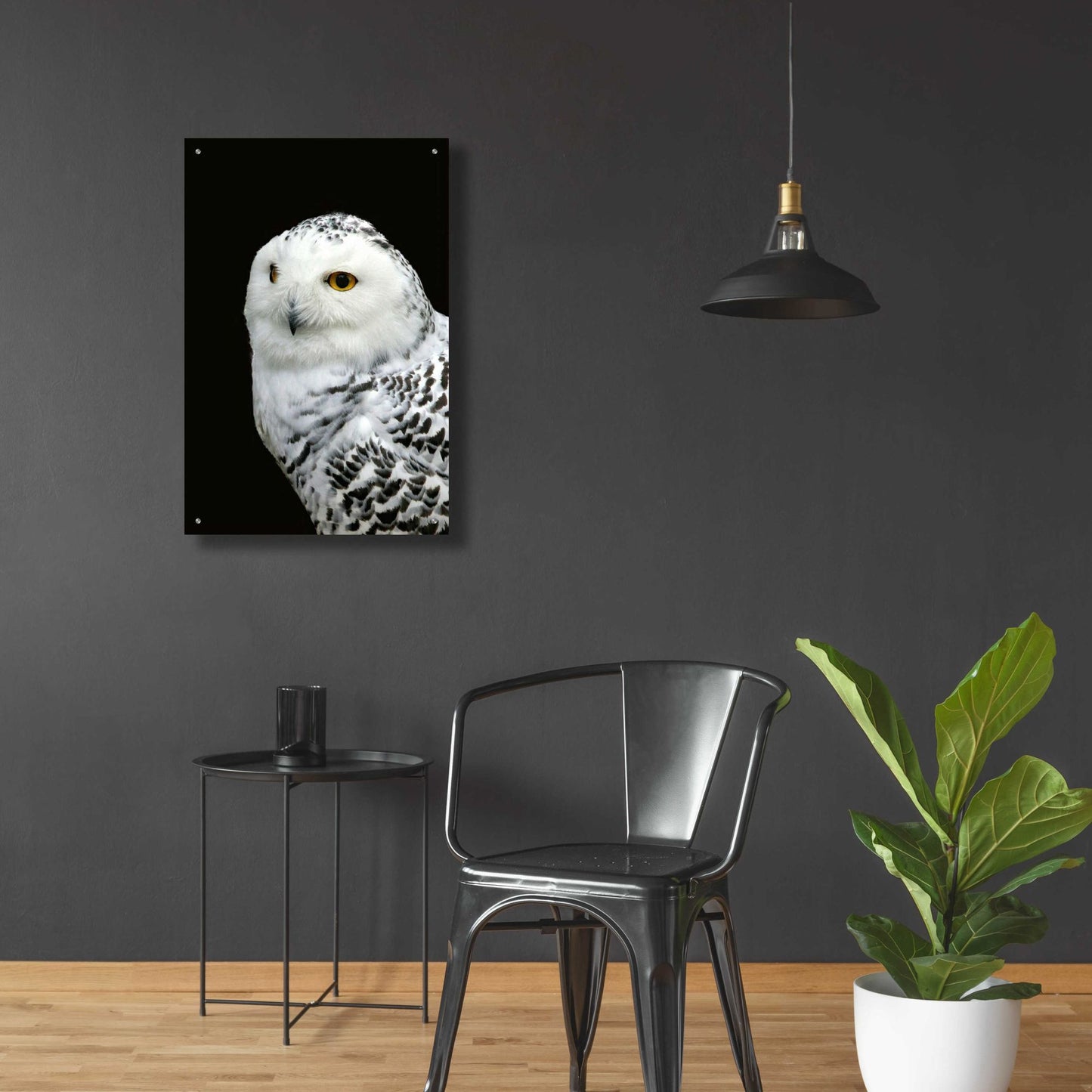 Epic Art 'Snowy Owl' by Epic Portfolio, Acrylic Glass Wall Art,24x36
