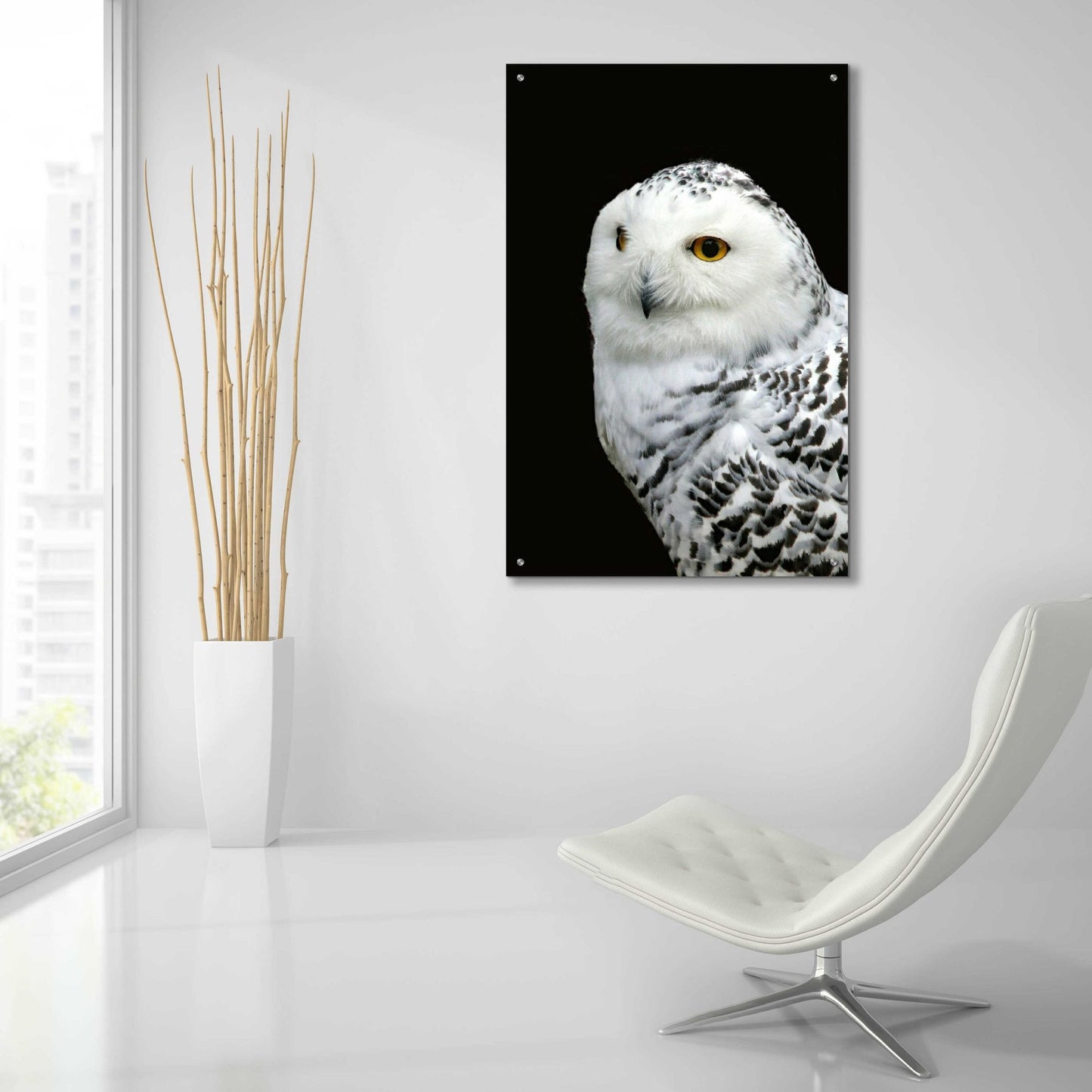 Epic Art 'Snowy Owl' by Epic Portfolio, Acrylic Glass Wall Art,24x36