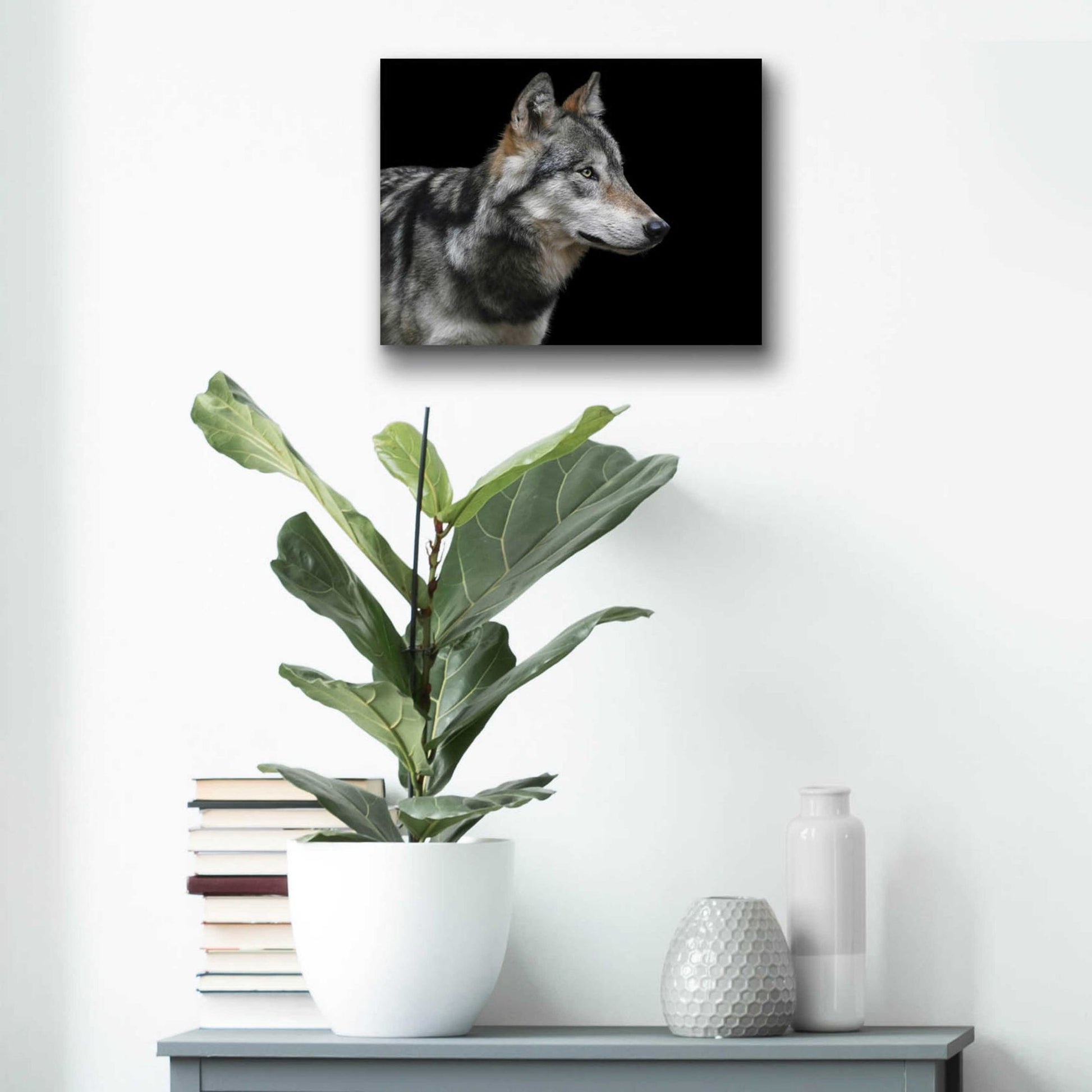 Epic Art 'Wolf' by Epic Portfolio, Acrylic Glass Wall Art,16x12