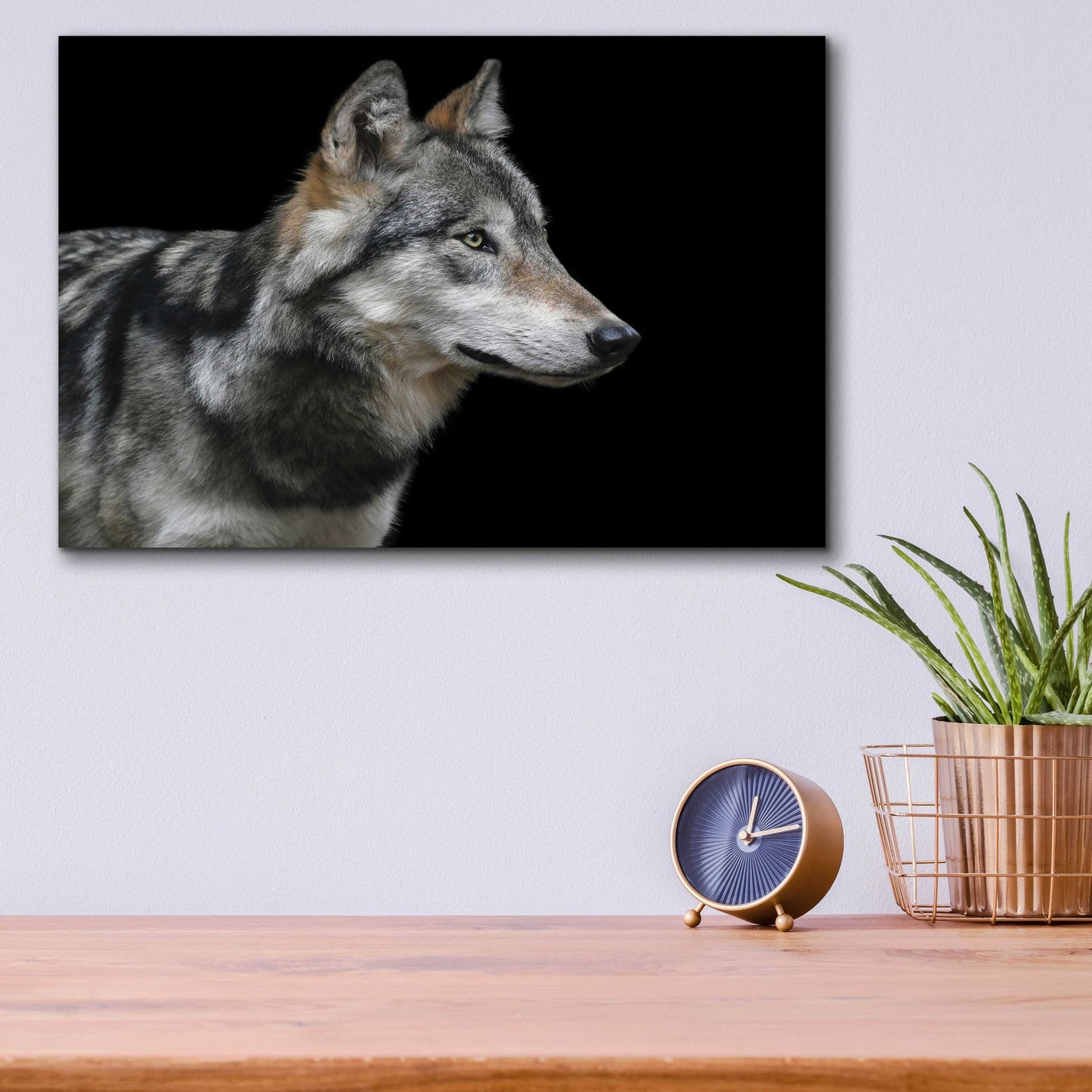 Epic Art 'Wolf' by Epic Portfolio, Acrylic Glass Wall Art,16x12