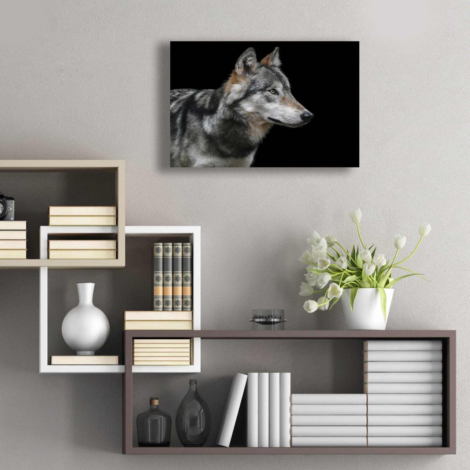 Epic Art 'Wolf' by Epic Portfolio, Acrylic Glass Wall Art,24x16