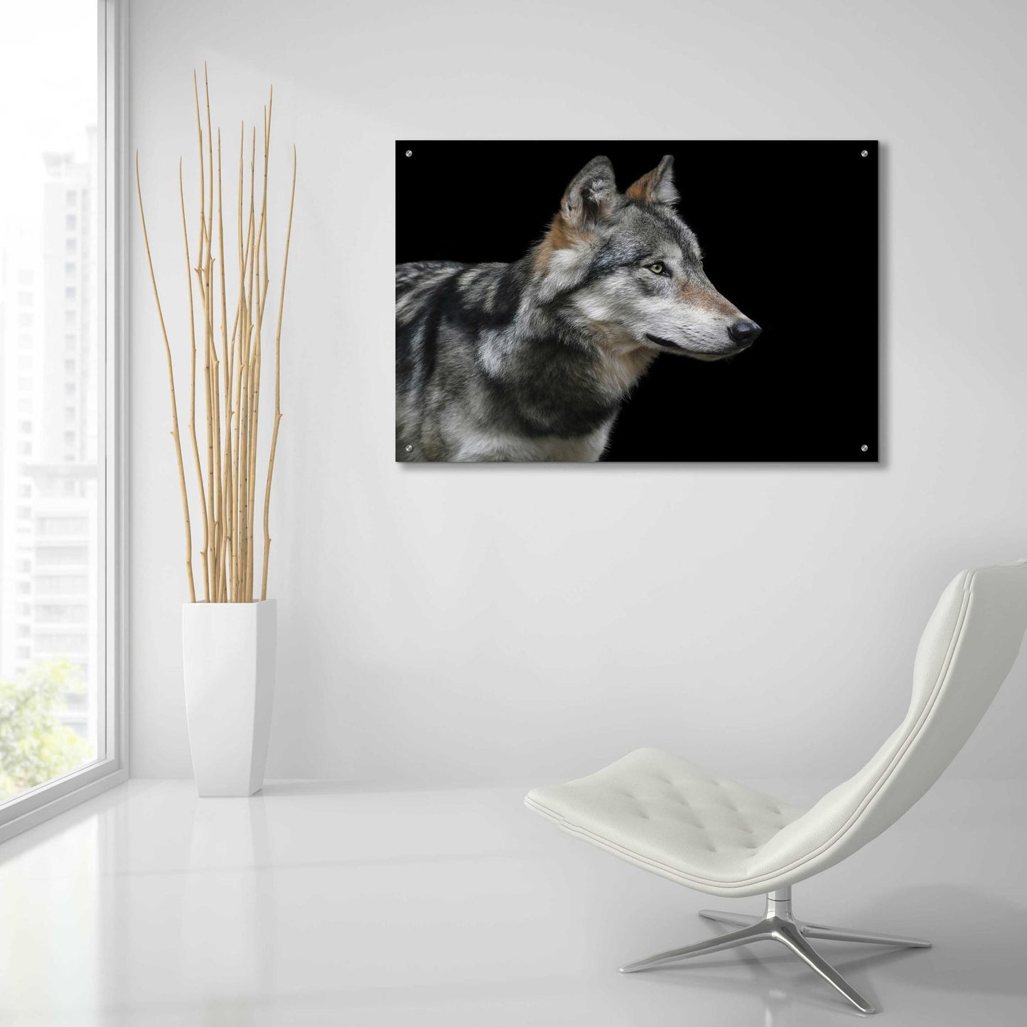 Epic Art 'Wolf' by Epic Portfolio, Acrylic Glass Wall Art,36x24