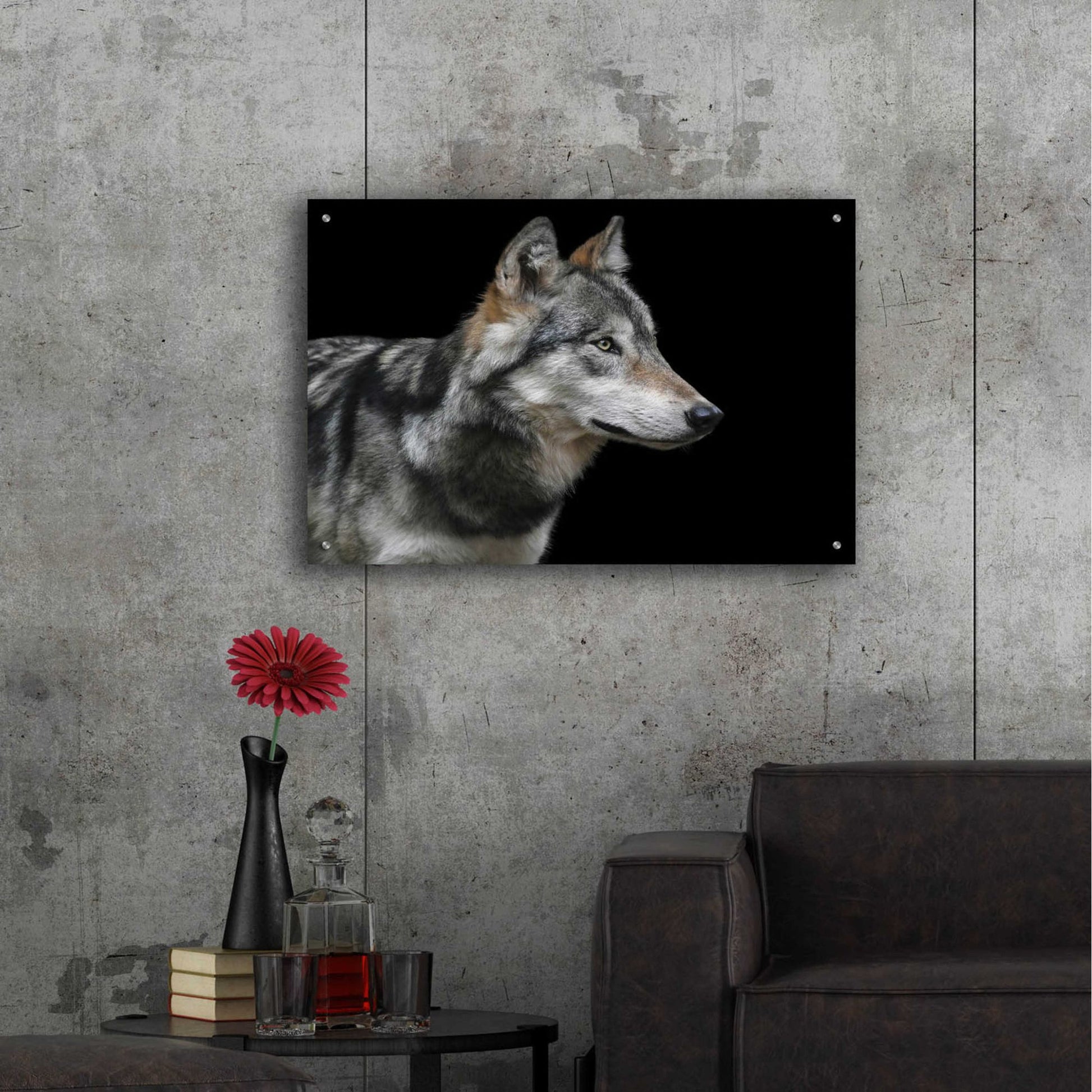 Epic Art 'Wolf' by Epic Portfolio, Acrylic Glass Wall Art,36x24