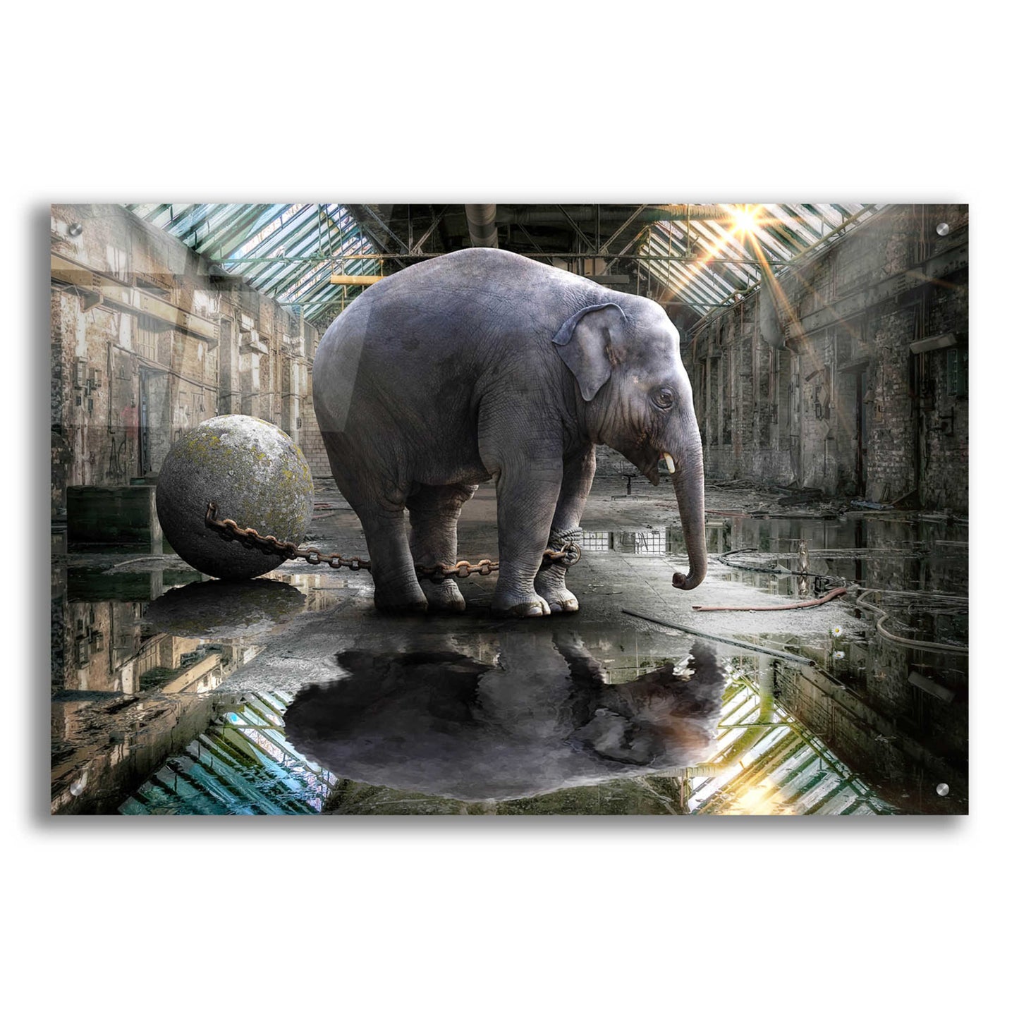 Epic Art 'The Big Grey' by Alan, Acrylic Glass Wall Art,36x24