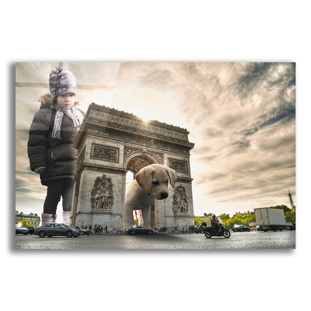 Epic Art 'Playtime' by Alan, Acrylic Glass Wall Art