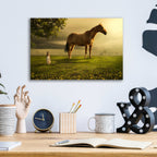 Epic Art 'Field of Visions' by Alan, Acrylic Glass Wall Art,16x12
