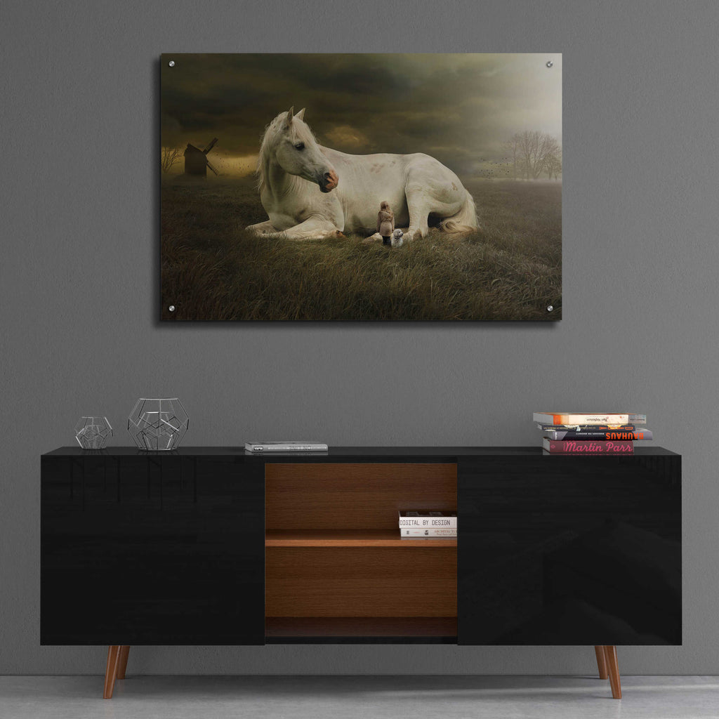 Epic Art 'Oversized' by Alan, Acrylic Glass Wall Art,36x24