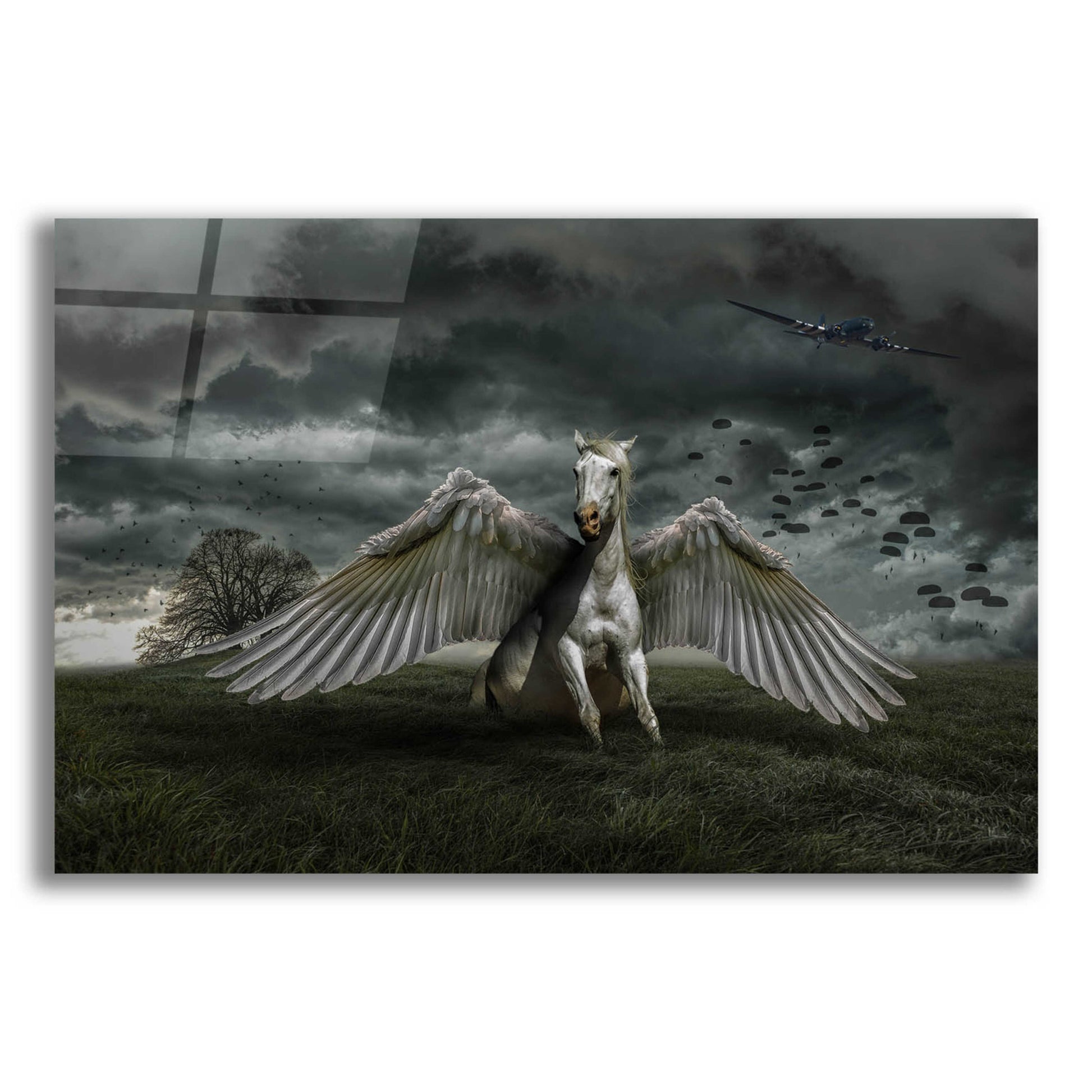 Epic Art 'Pegasus Rising' by Alan, Acrylic Glass Wall Art,16x12