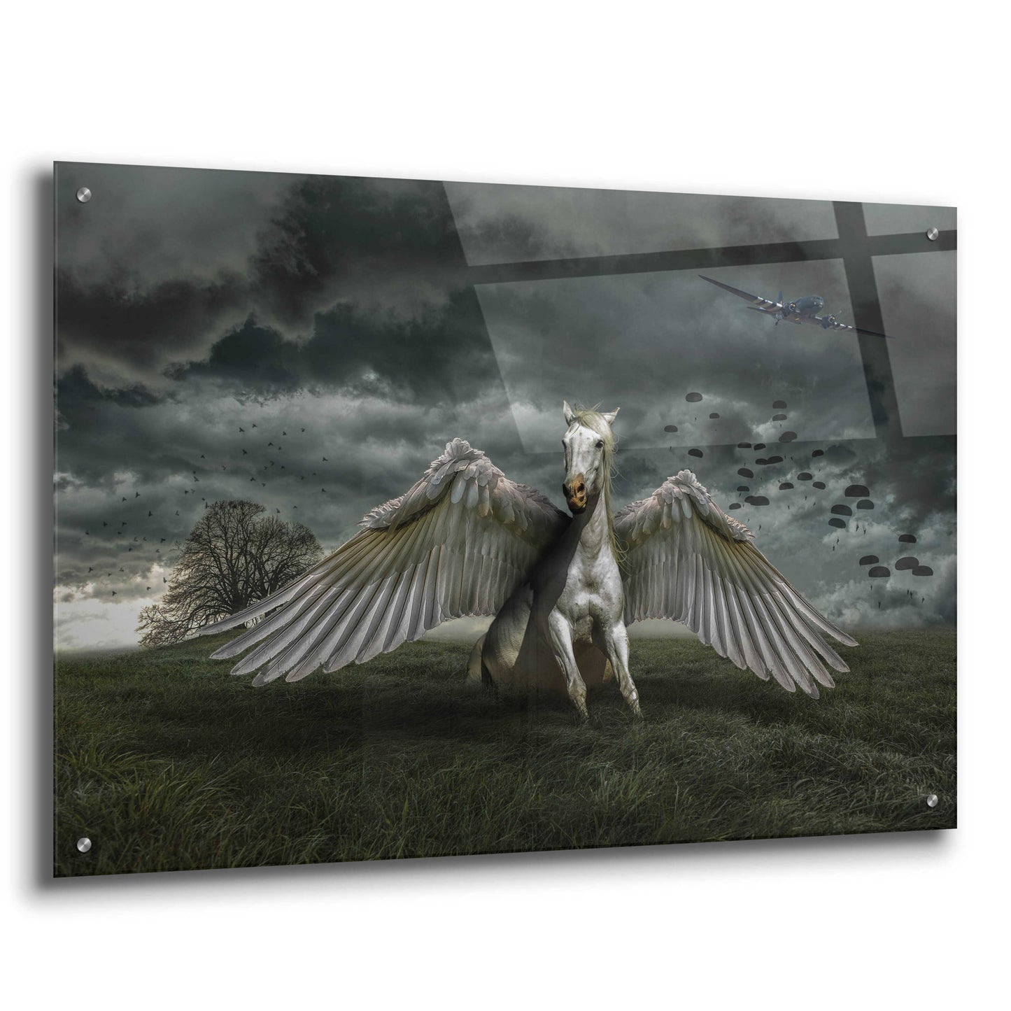 Epic Art 'Pegasus Rising' by Alan, Acrylic Glass Wall Art,36x24