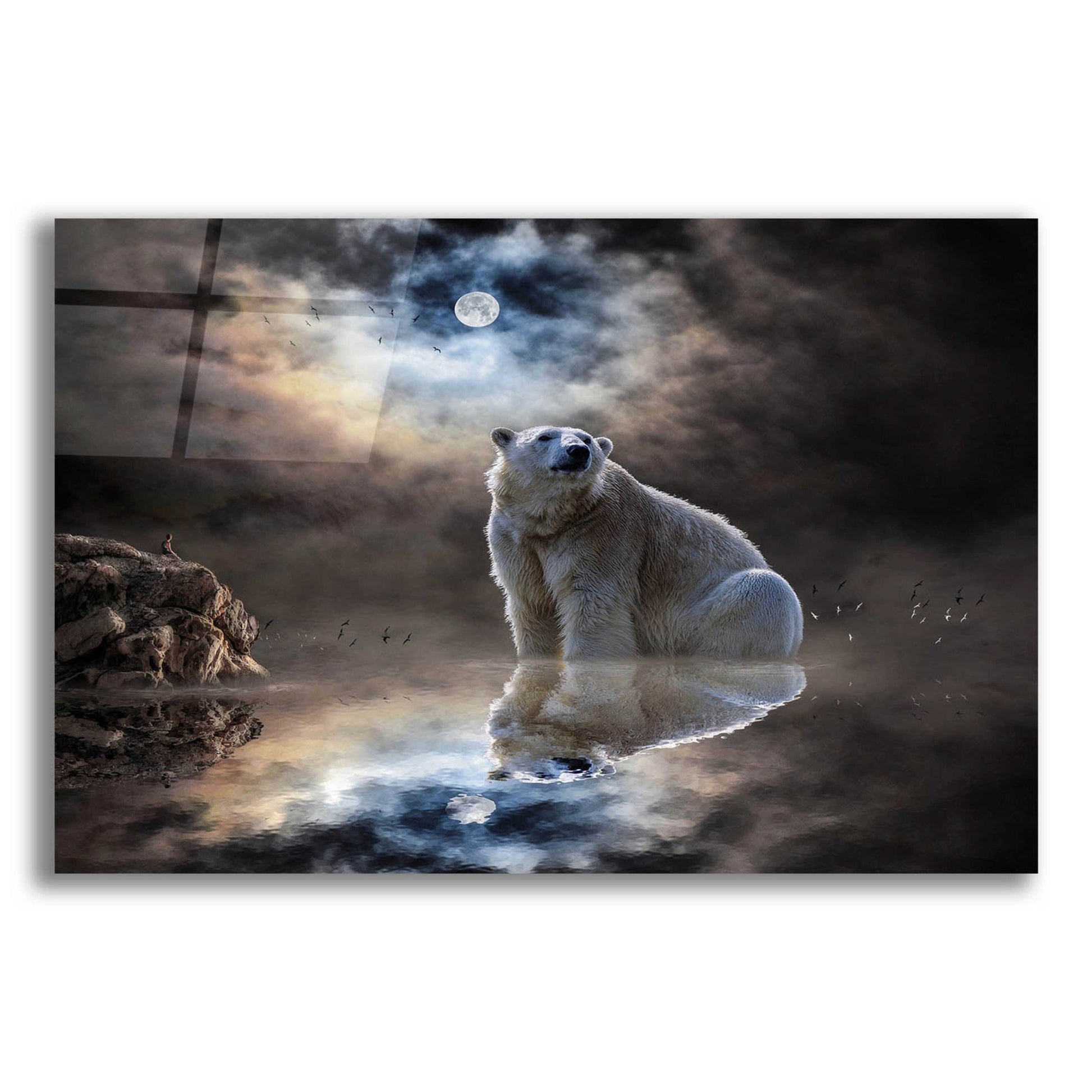 Epic Art 'Polar Bear Reflections' by Alan, Acrylic Glass Wall Art,16x12