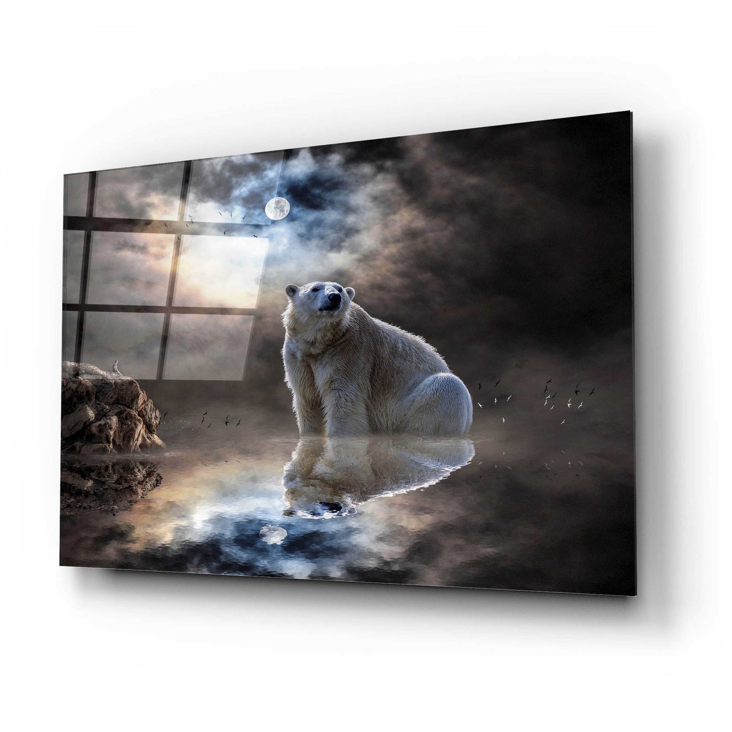 Epic Art 'Polar Bear Reflections' by Alan, Acrylic Glass Wall Art,24x16