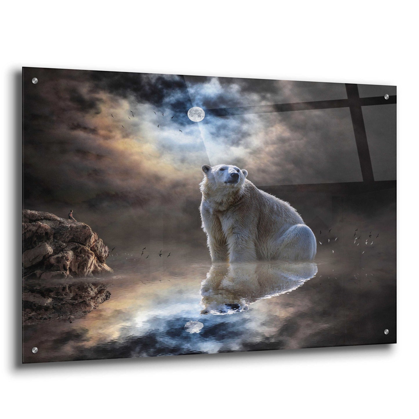 Epic Art 'Polar Bear Reflections' by Alan, Acrylic Glass Wall Art,36x24