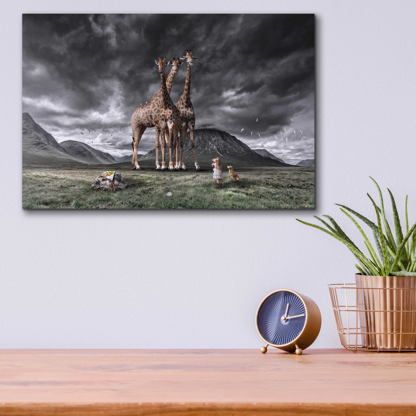 Epic Art 'Long Neck Scotland' by Alan, Acrylic Glass Wall Art,16x12