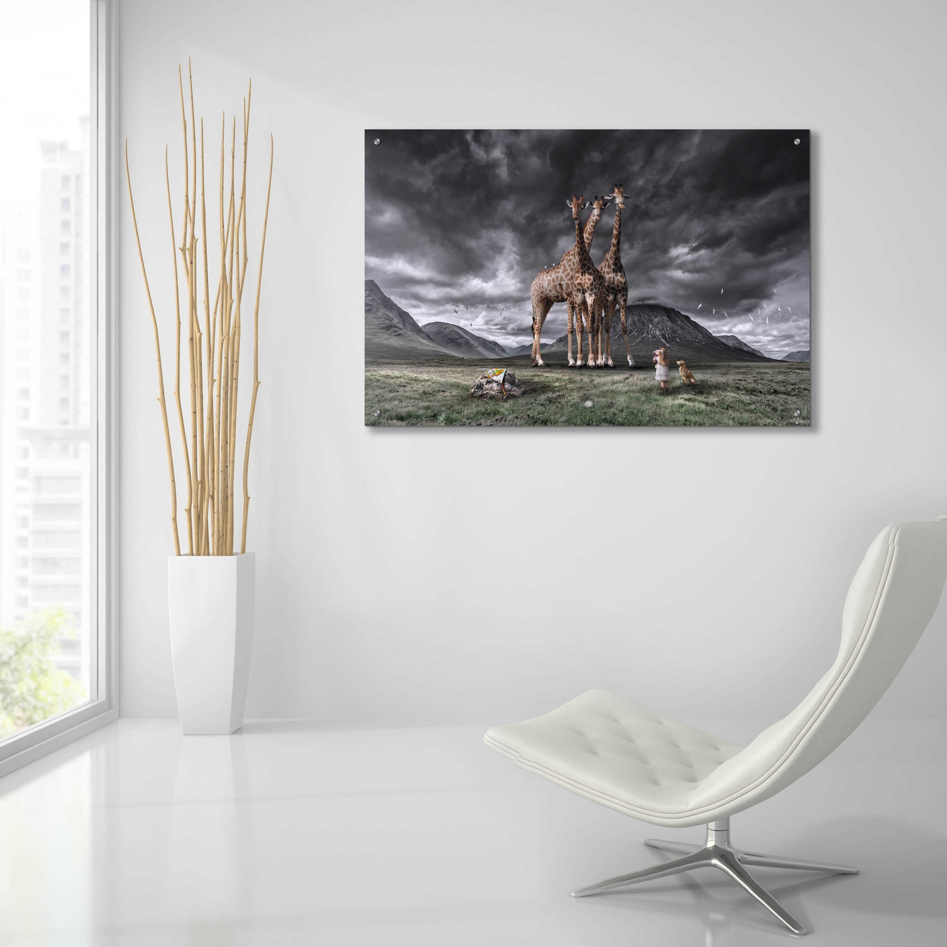 Epic Art 'Long Neck Scotland' by Alan, Acrylic Glass Wall Art,36x24