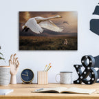 Epic Art 'Take Flight' by Alan, Acrylic Glass Wall Art,16x12