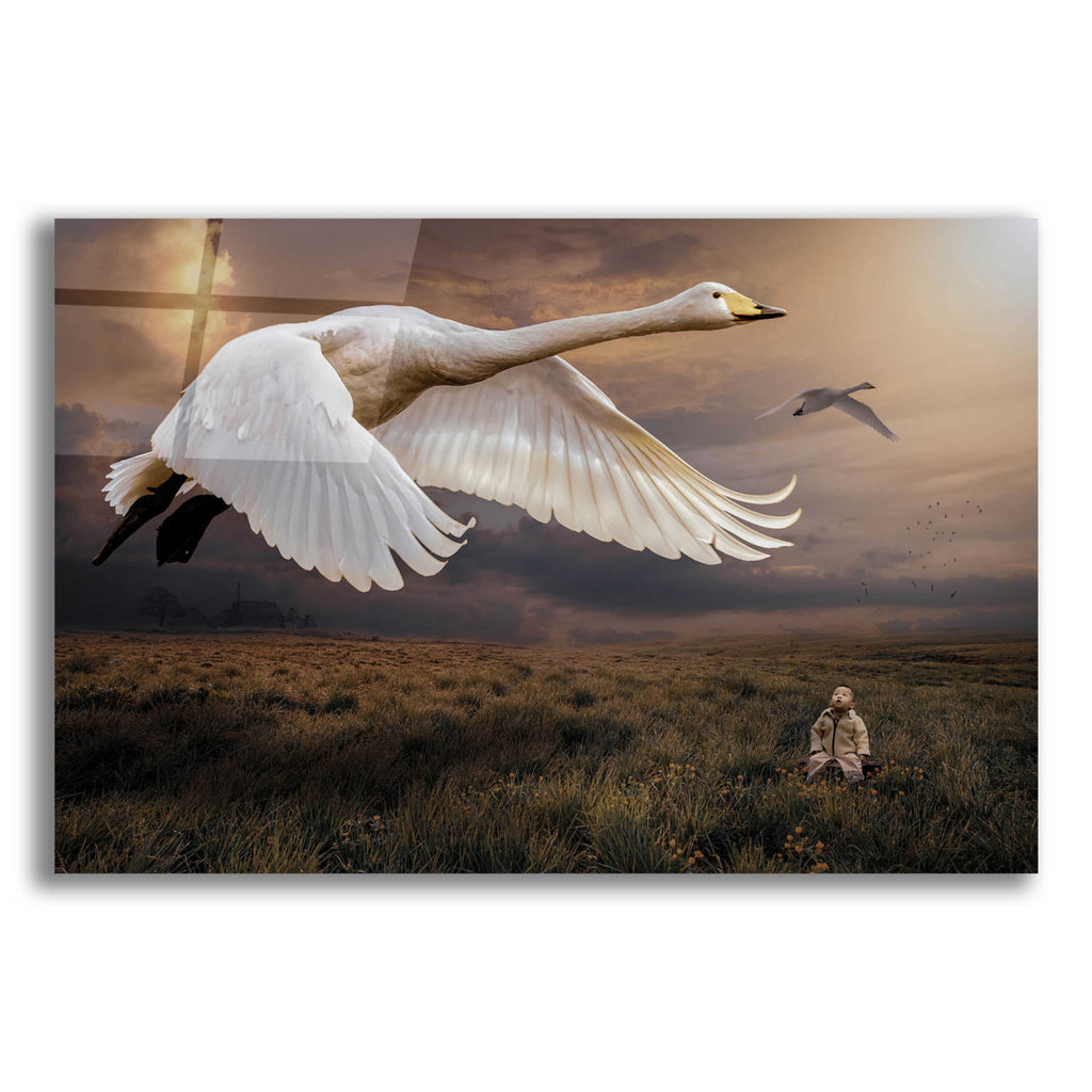 Epic Art 'Take Flight' by Alan, Acrylic Glass Wall Art