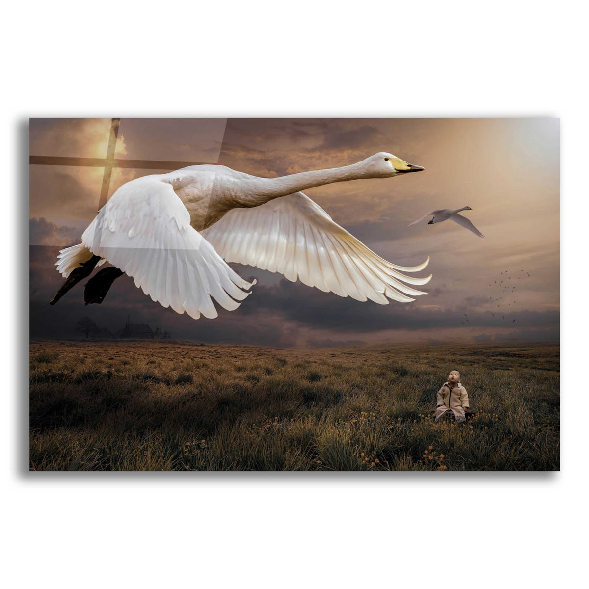 Epic Art 'Take Flight' by Alan, Acrylic Glass Wall Art