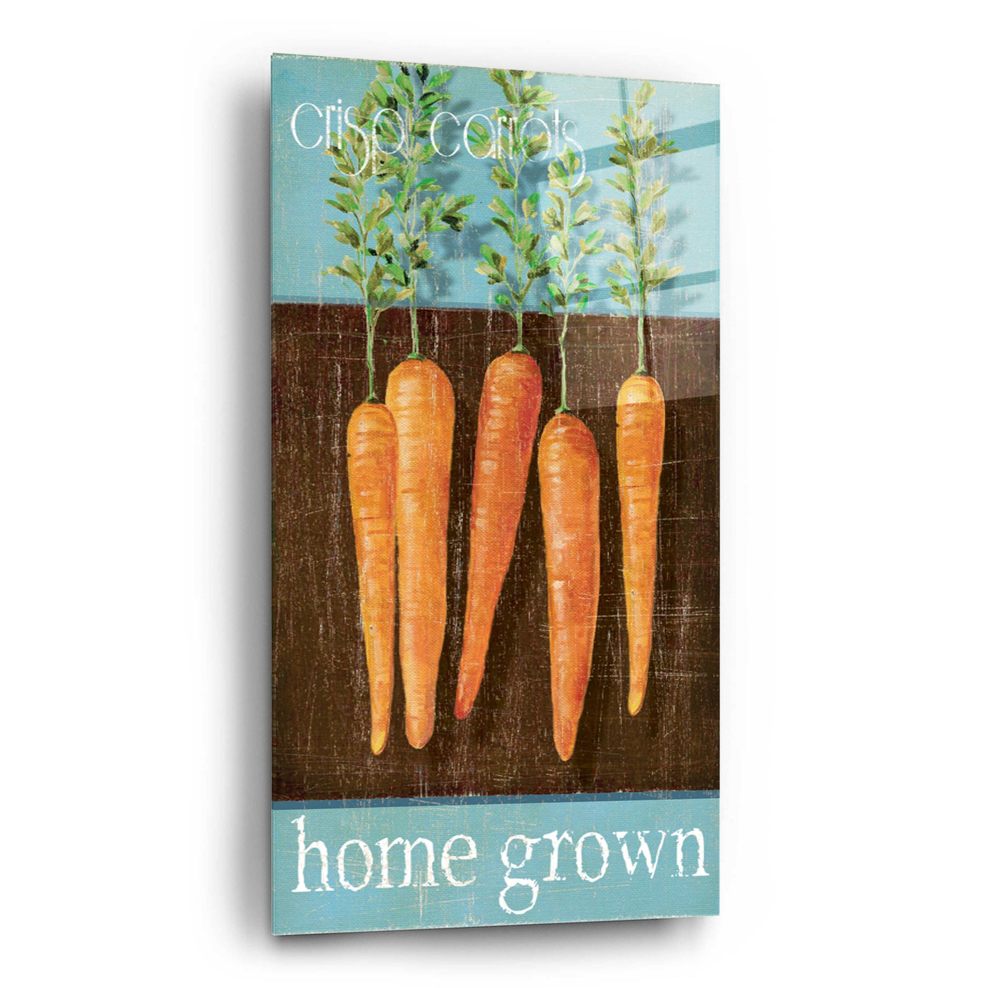 Epic Art 'Crisp Carrots' by Jadei Graphics, Acrylic Glass Wall Art,12x24