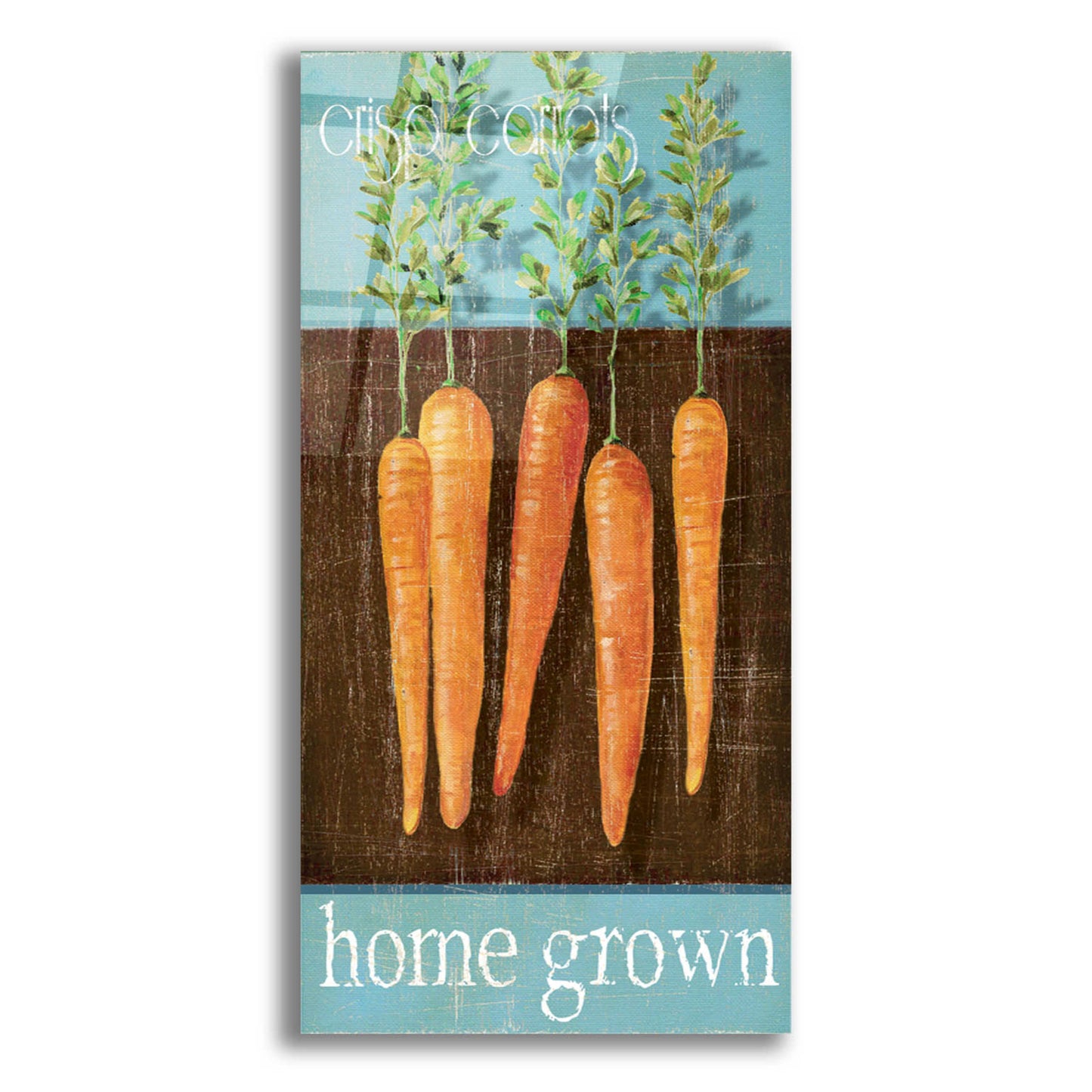 Epic Art 'Crisp Carrots' by Jadei Graphics, Acrylic Glass Wall Art,12x24