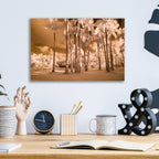 Epic Art 'Florida Palms' by Jadei Graphics, Acrylic Glass Wall Art,16x12