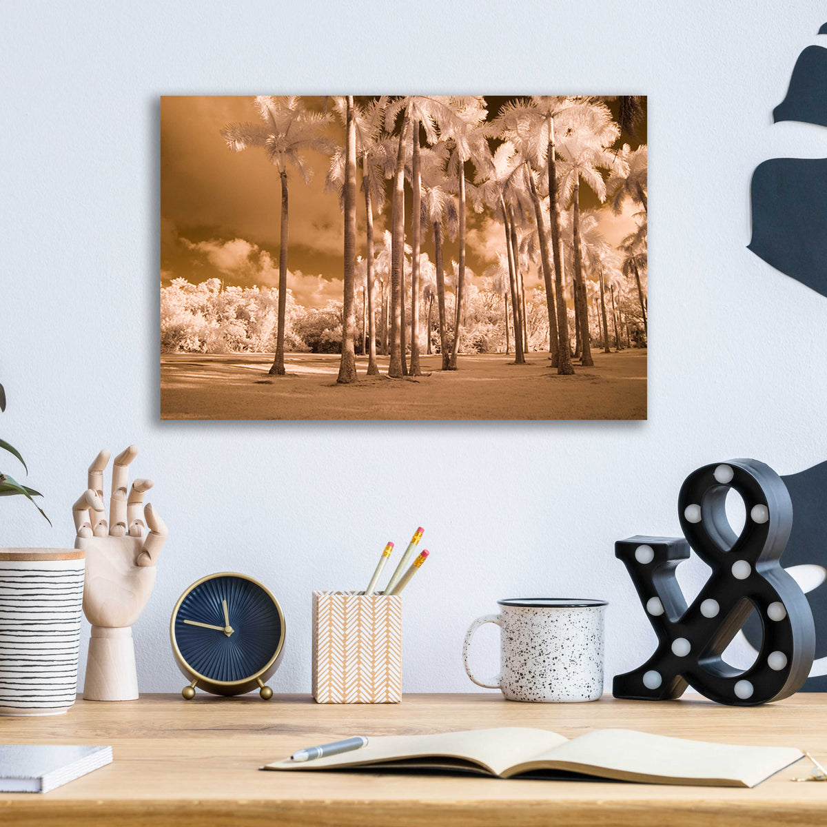 Epic Art 'Florida Palms' by Jadei Graphics, Acrylic Glass Wall Art,16x12