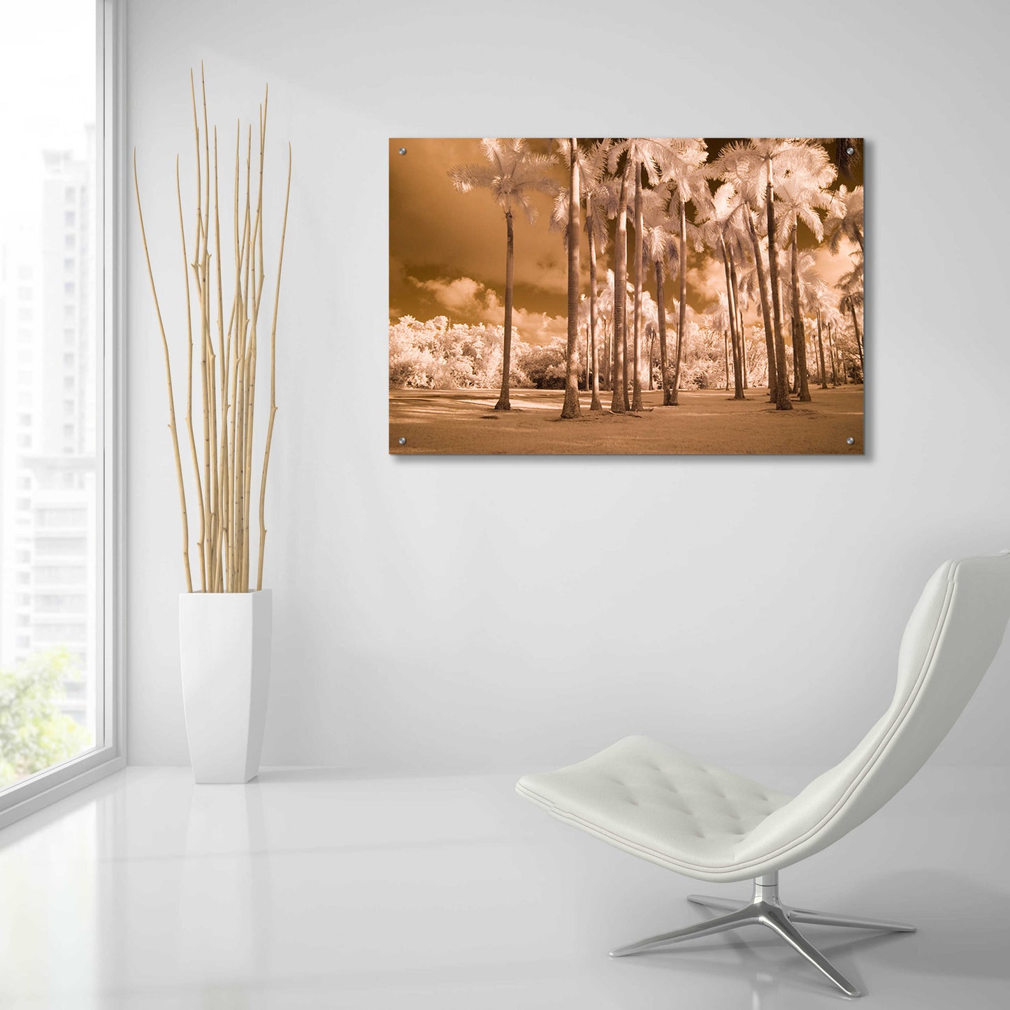 Epic Art 'Florida Palms' by Jadei Graphics, Acrylic Glass Wall Art,36x24