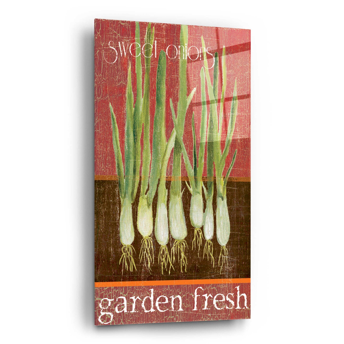 Epic Art 'Green Onions' by Jadei Graphics, Acrylic Glass Wall Art,12x24