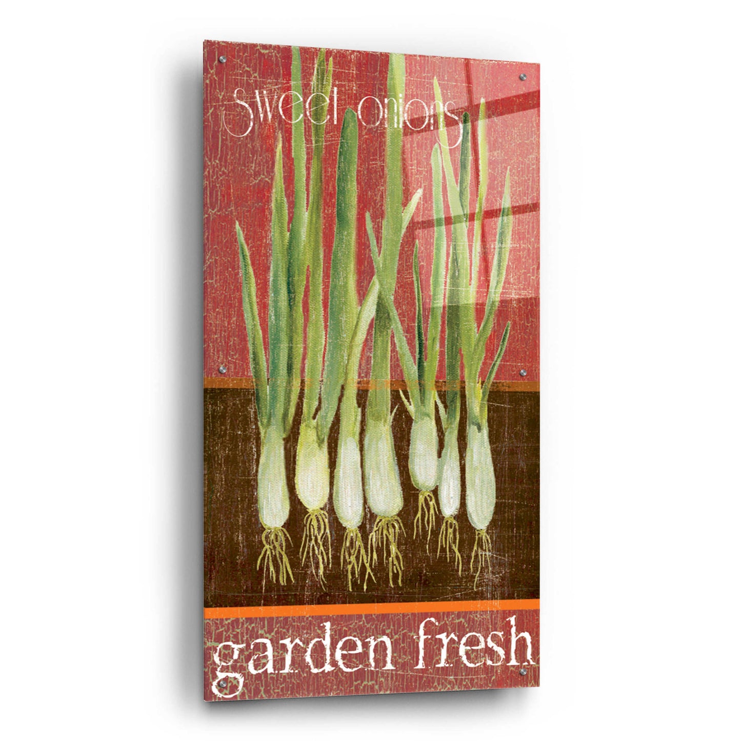 Epic Art 'Green Onions' by Jadei Graphics, Acrylic Glass Wall Art,24x48