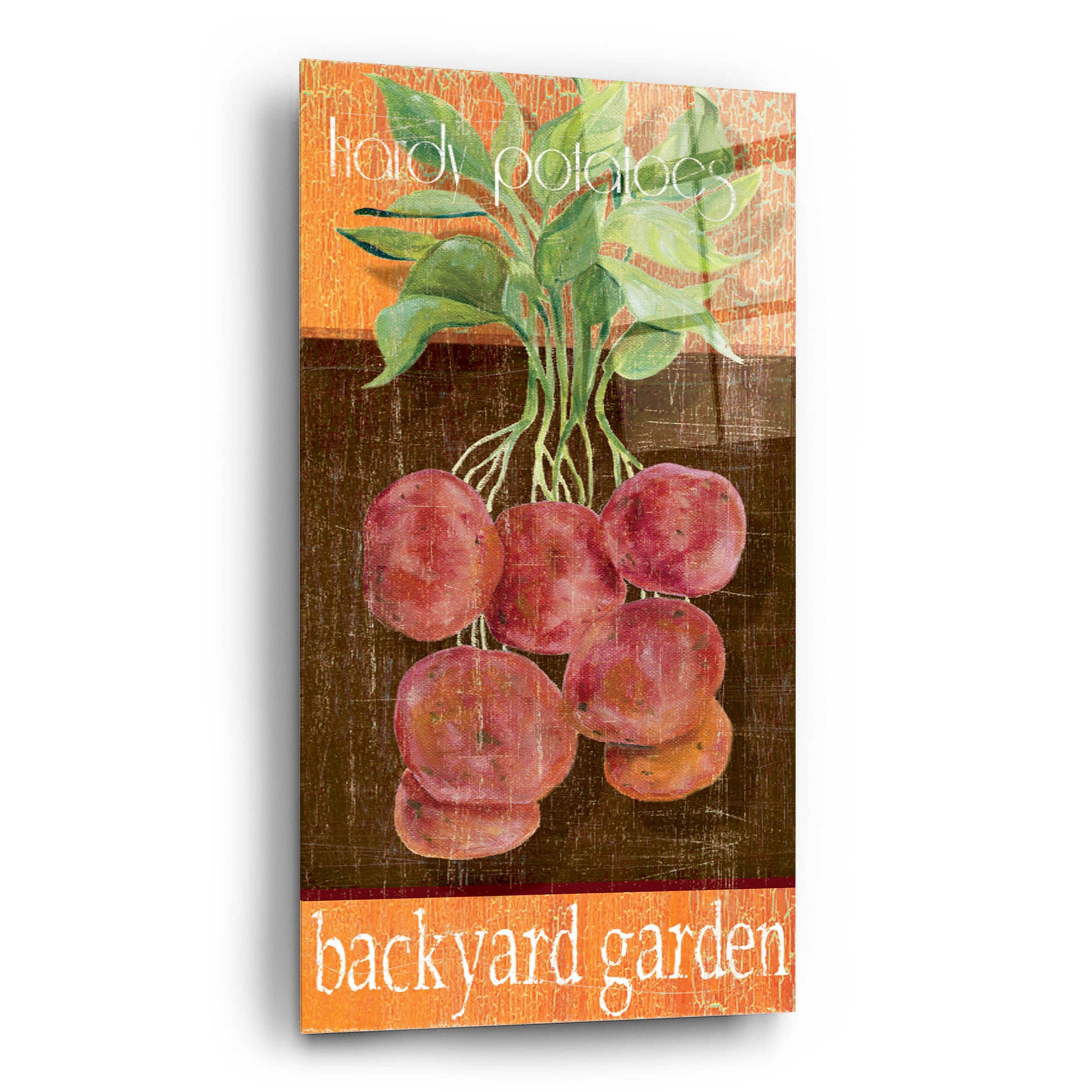 Epic Art 'Hardy Potatoes' by Jadei Graphics, Acrylic Glass Wall Art,12x24