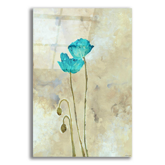 Epic Art 'Tealqoise Flowers 1' by Jadei Graphics, Acrylic Glass Wall Art