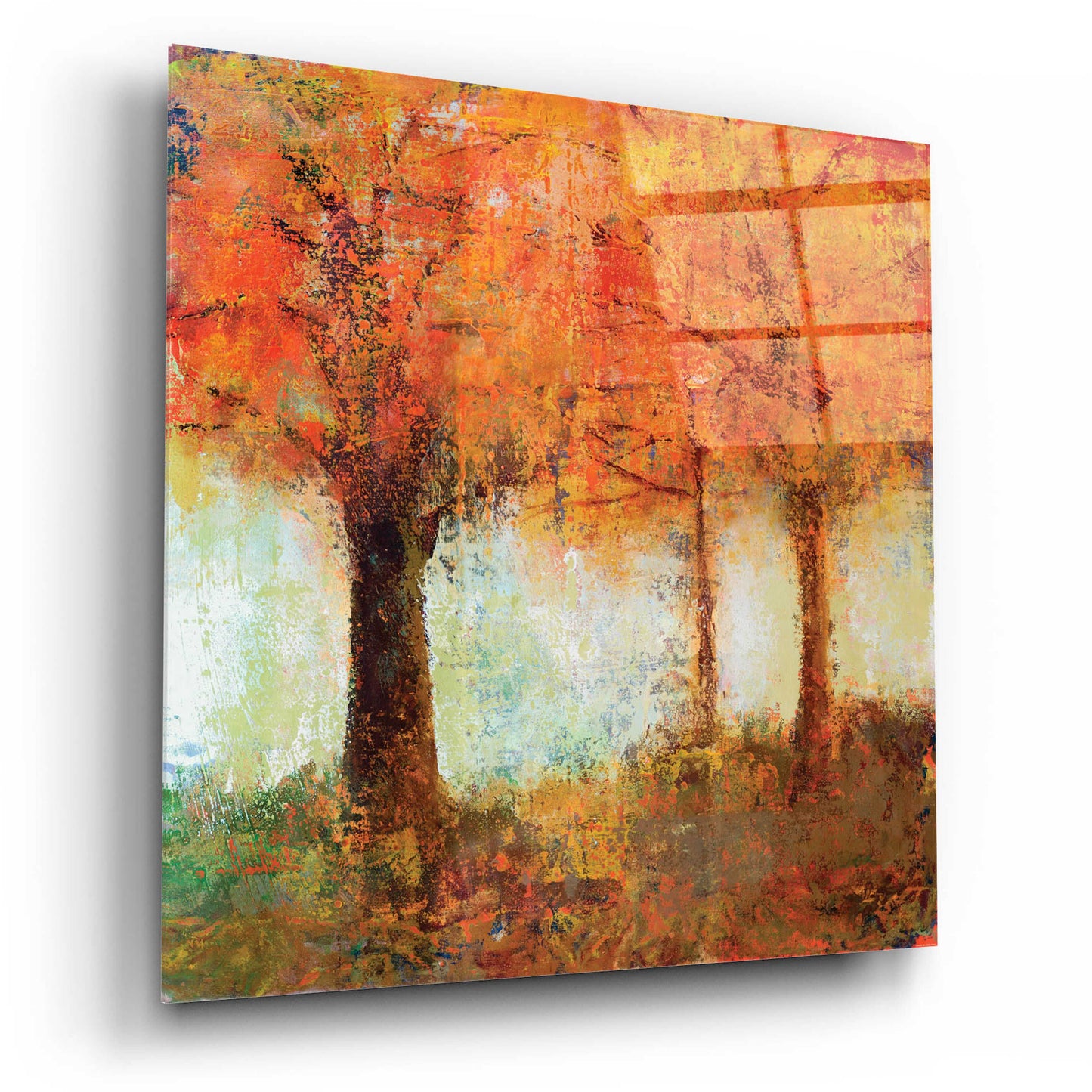 Epic Art 'Fall Trees' by Jadei Graphics, Acrylic Glass Wall Art,12x12