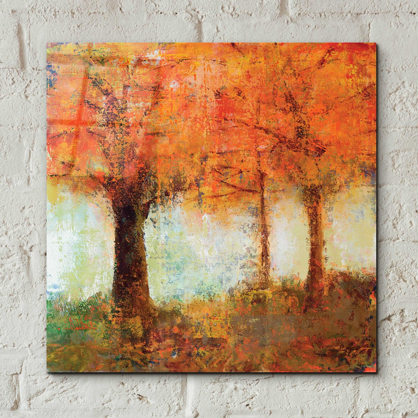 Epic Art 'Fall Trees' by Jadei Graphics, Acrylic Glass Wall Art,12x12