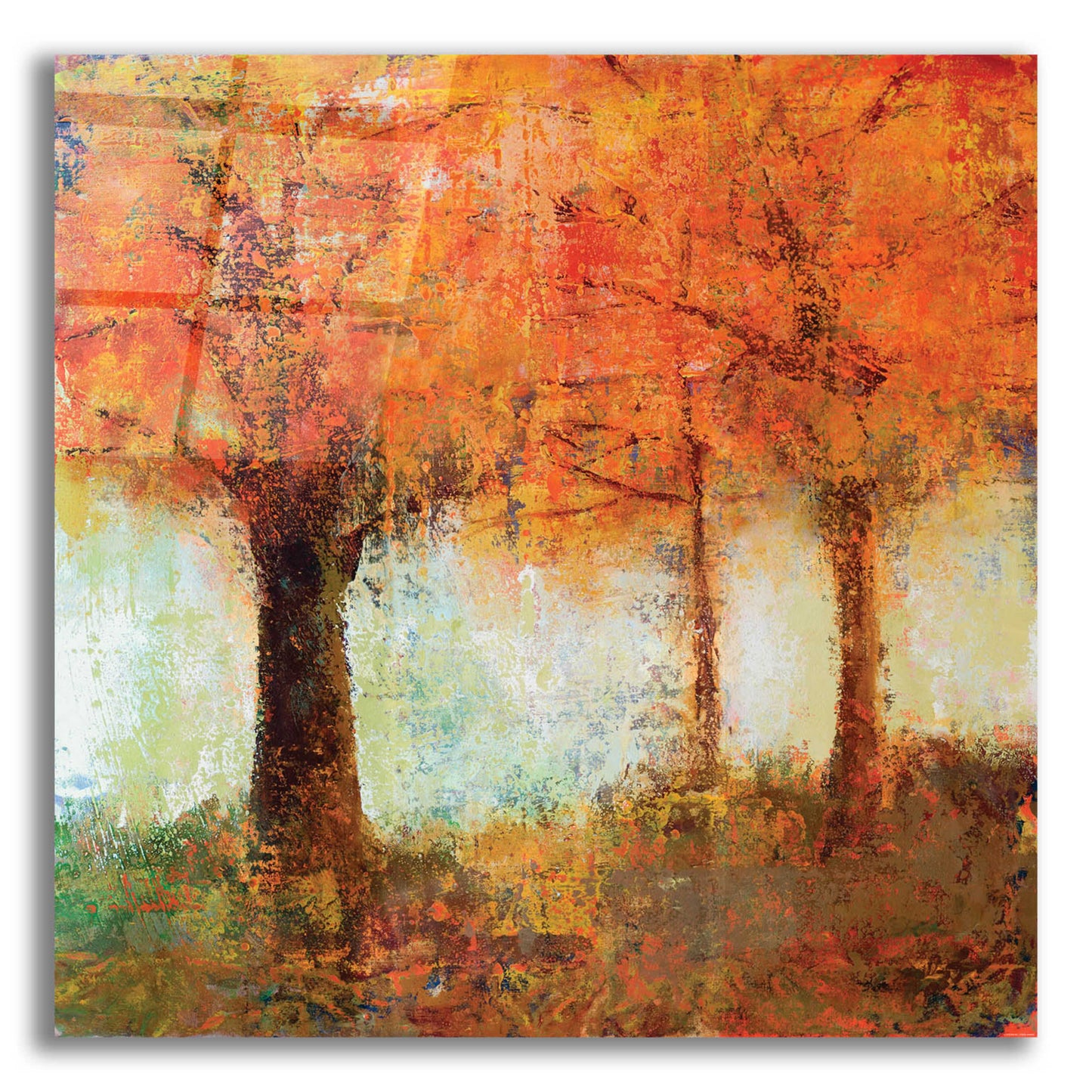 Epic Art 'Fall Trees' by Jadei Graphics, Acrylic Glass Wall Art,12x12