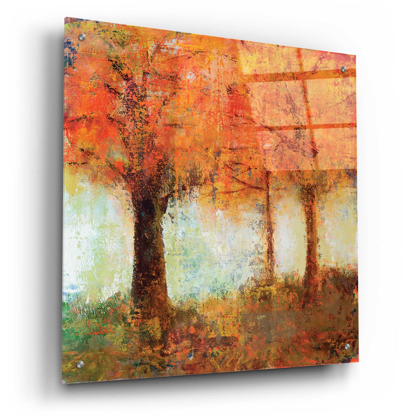 Epic Art 'Fall Trees' by Jadei Graphics, Acrylic Glass Wall Art,24x24