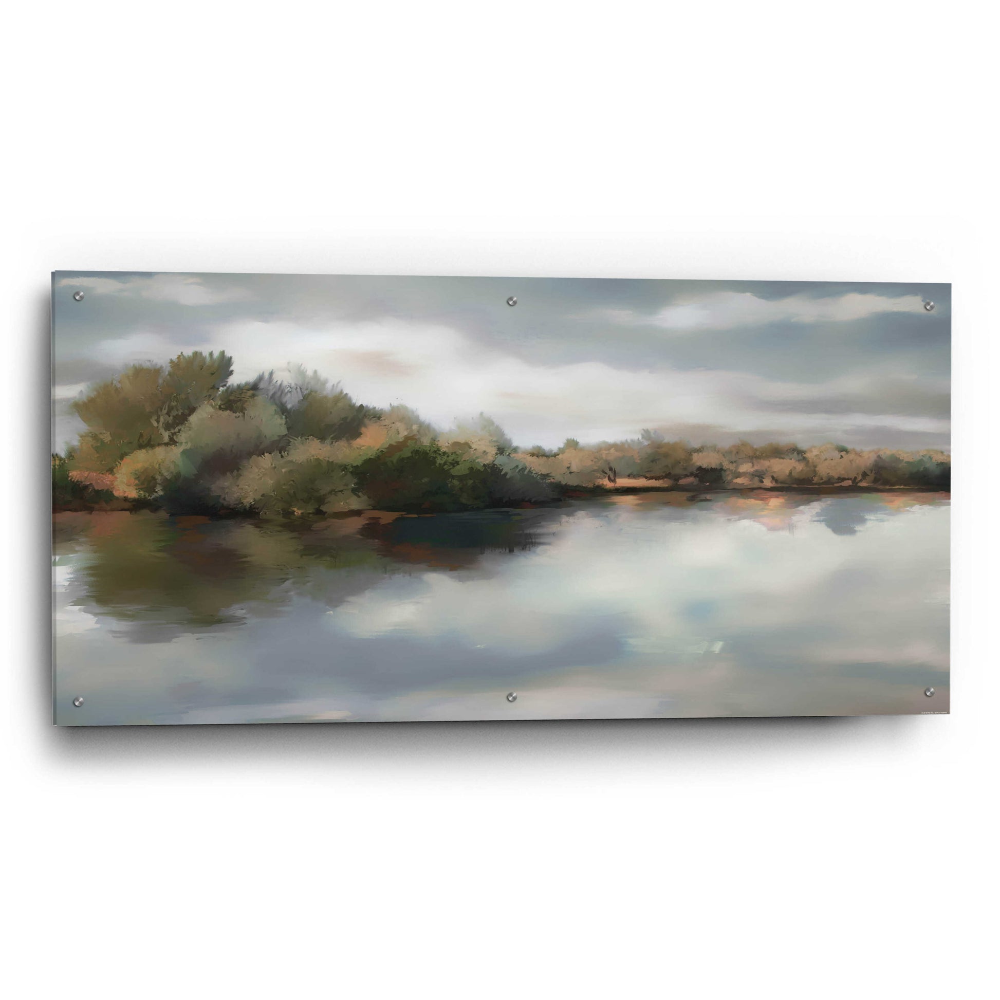 Epic Art 'River Fields' by Jadei Graphics, Acrylic Glass Wall Art,48x24