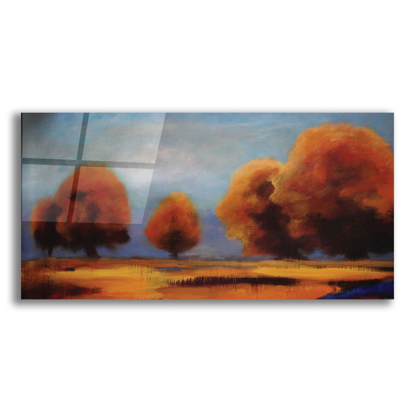 Epic Art 'Western Sky' by Jadei Graphics, Acrylic Glass Wall Art,24x12