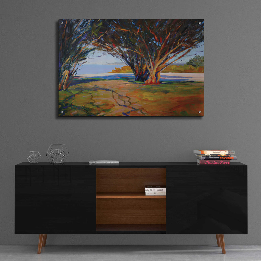 Epic Art 'Arles' by Jadei Graphics, Acrylic Glass Wall Art,36x24