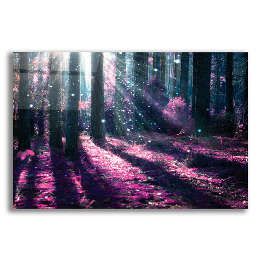 Epic Art 'In Wonderland' by Epic Portfolio, Acrylic Glass Wall Art