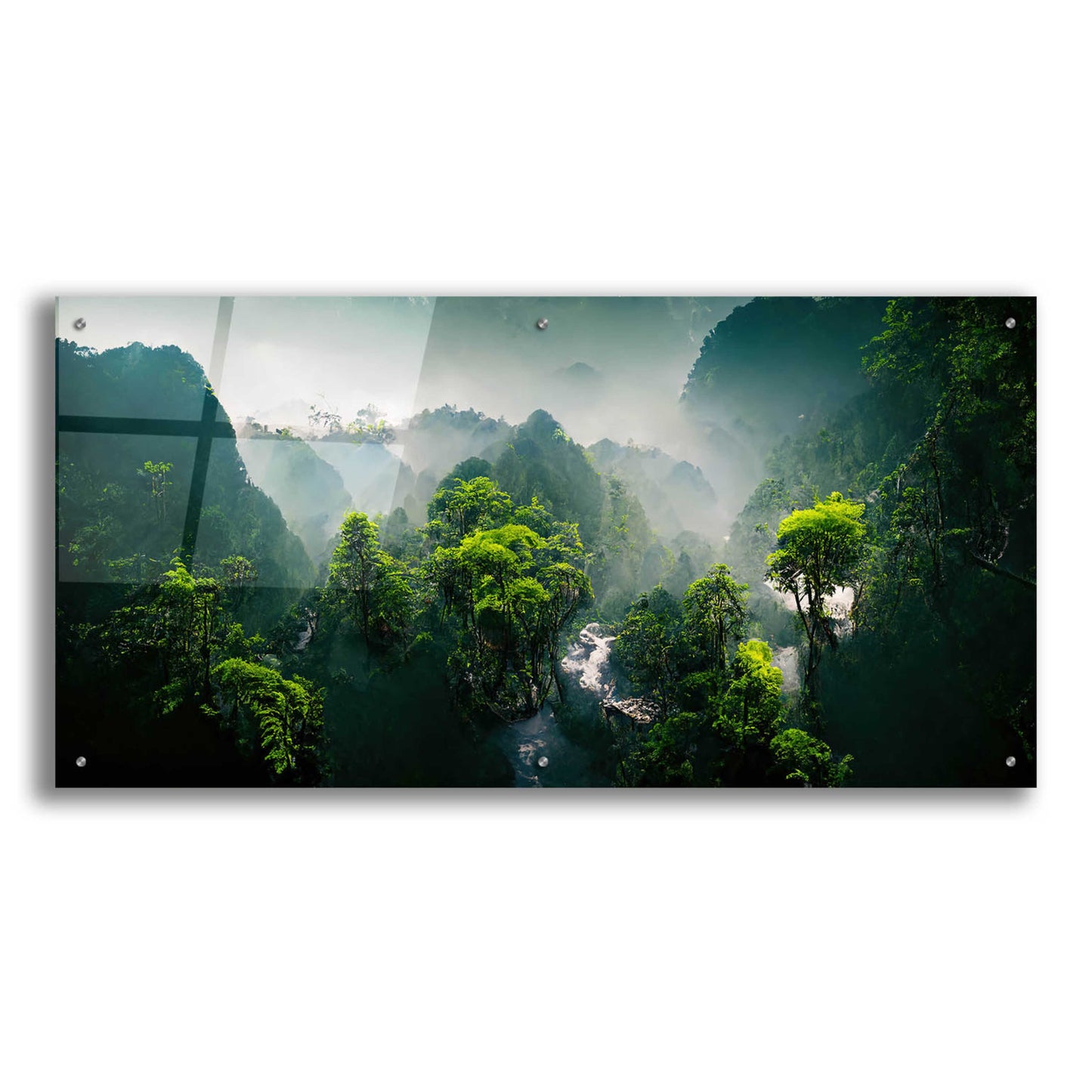 Epic Art 'Exotic Forest' by Epic Portfolio, Acrylic Glass Wall Art,48x24