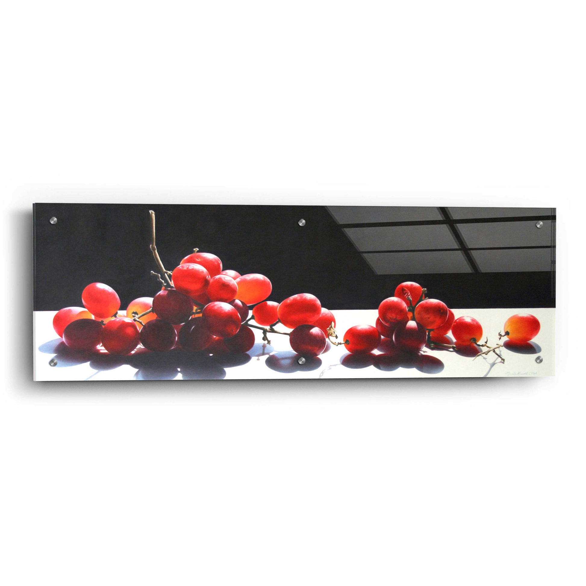 Epic Art '2008 Best of Show Radiant Red' by Cecile Baird, Acrylic Glass Wall Art,36x12