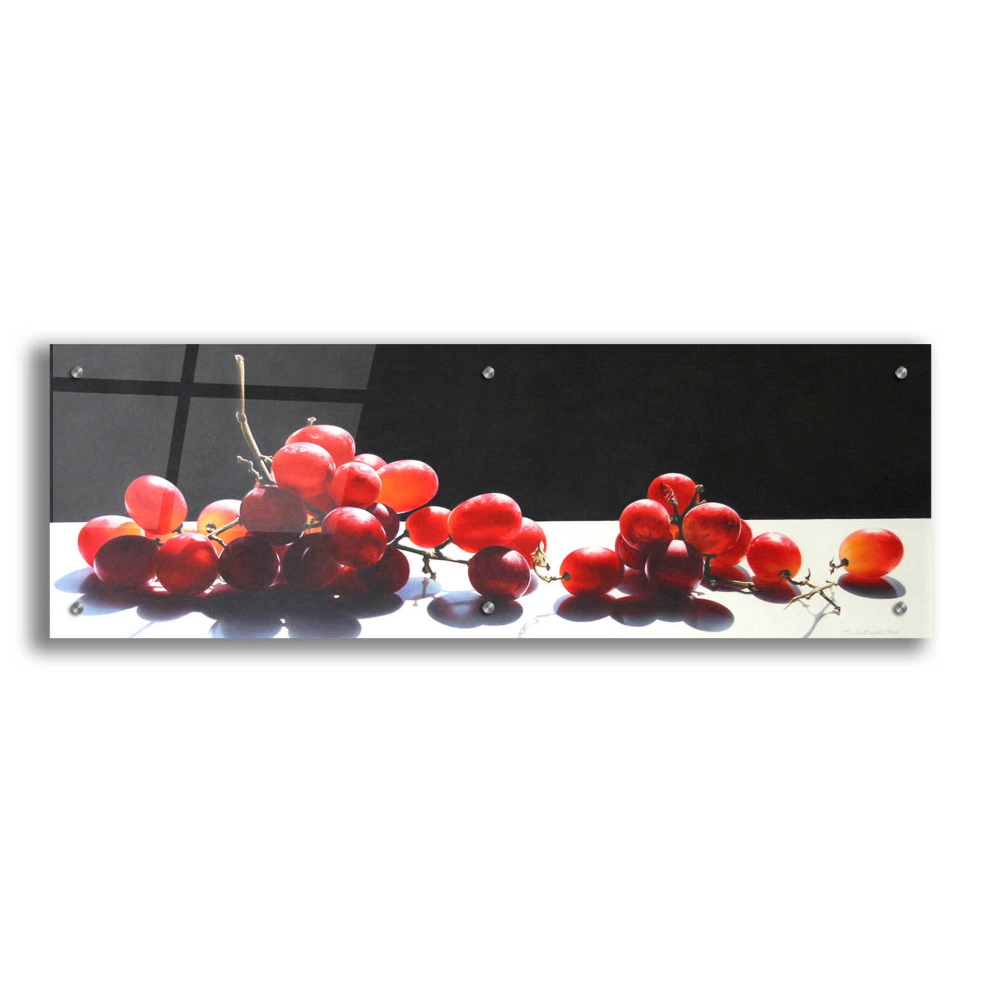 Epic Art '2008 Best of Show Radiant Red' by Cecile Baird, Acrylic Glass Wall Art,36x12